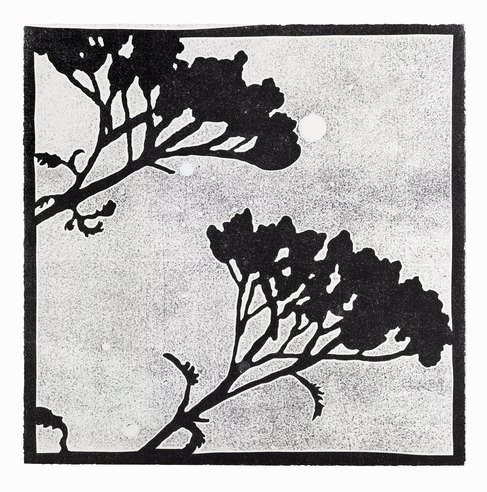 Dunkle Silhouette eines Nadelwaldes und einzelner Zweige vor einem hellen Nachthimmel mit sichtbaren Sternen und Vollmond. Dark silhouette of a forest and twigs in front of a bright night sky with stars and a full moon.