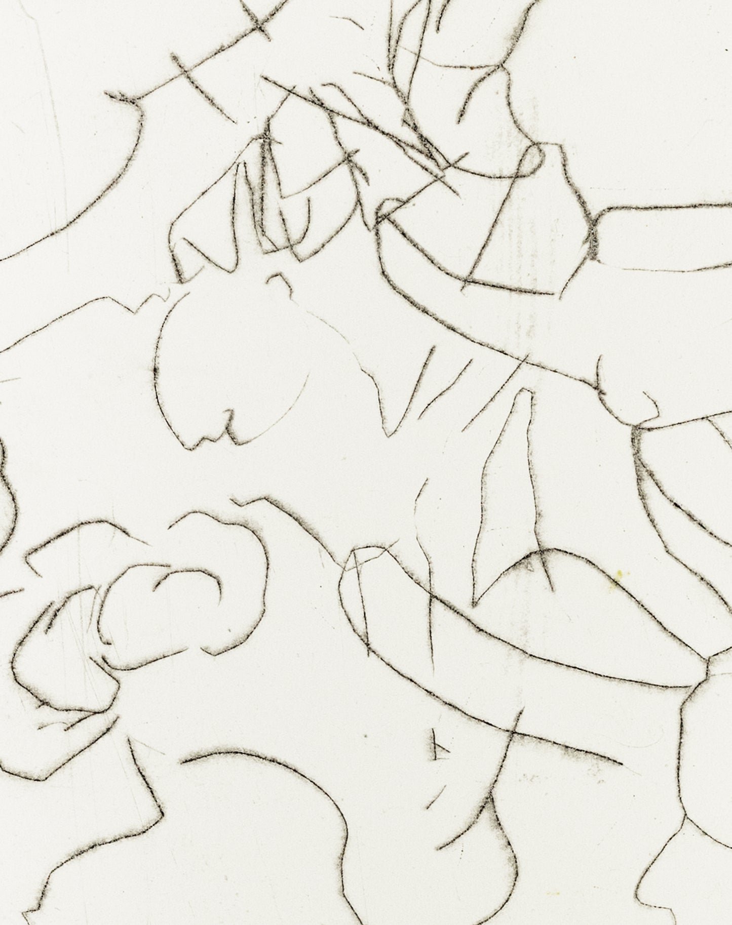 Zarte Kaltnadelradierung mit floralen Linien und Formen auf weißem Grund, minimalistisch und transparent – Delicate etching with floral lines and shapes on white background, minimal and airy