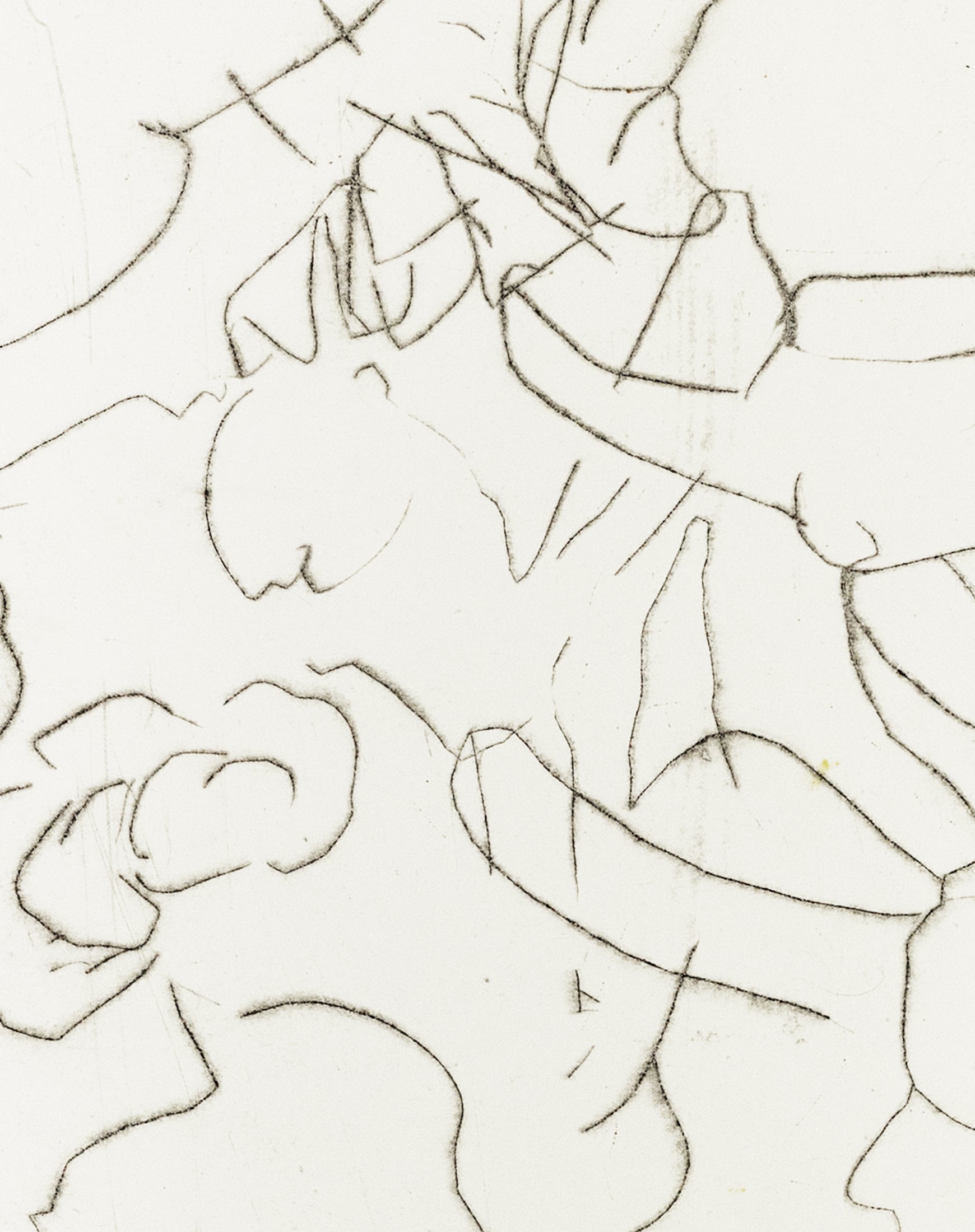 Zarte Kaltnadelradierung mit floralen Linien und Formen auf weißem Grund, minimalistisch und transparent – Delicate etching with floral lines and shapes on white background, minimal and airy