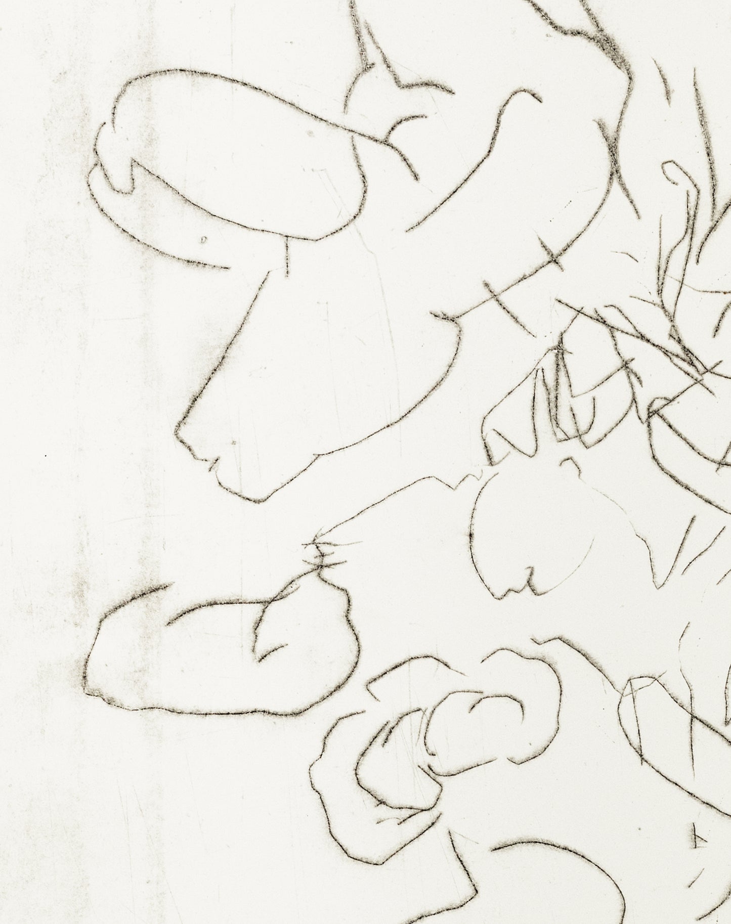 Knabenkraut, 60 x 80 cm