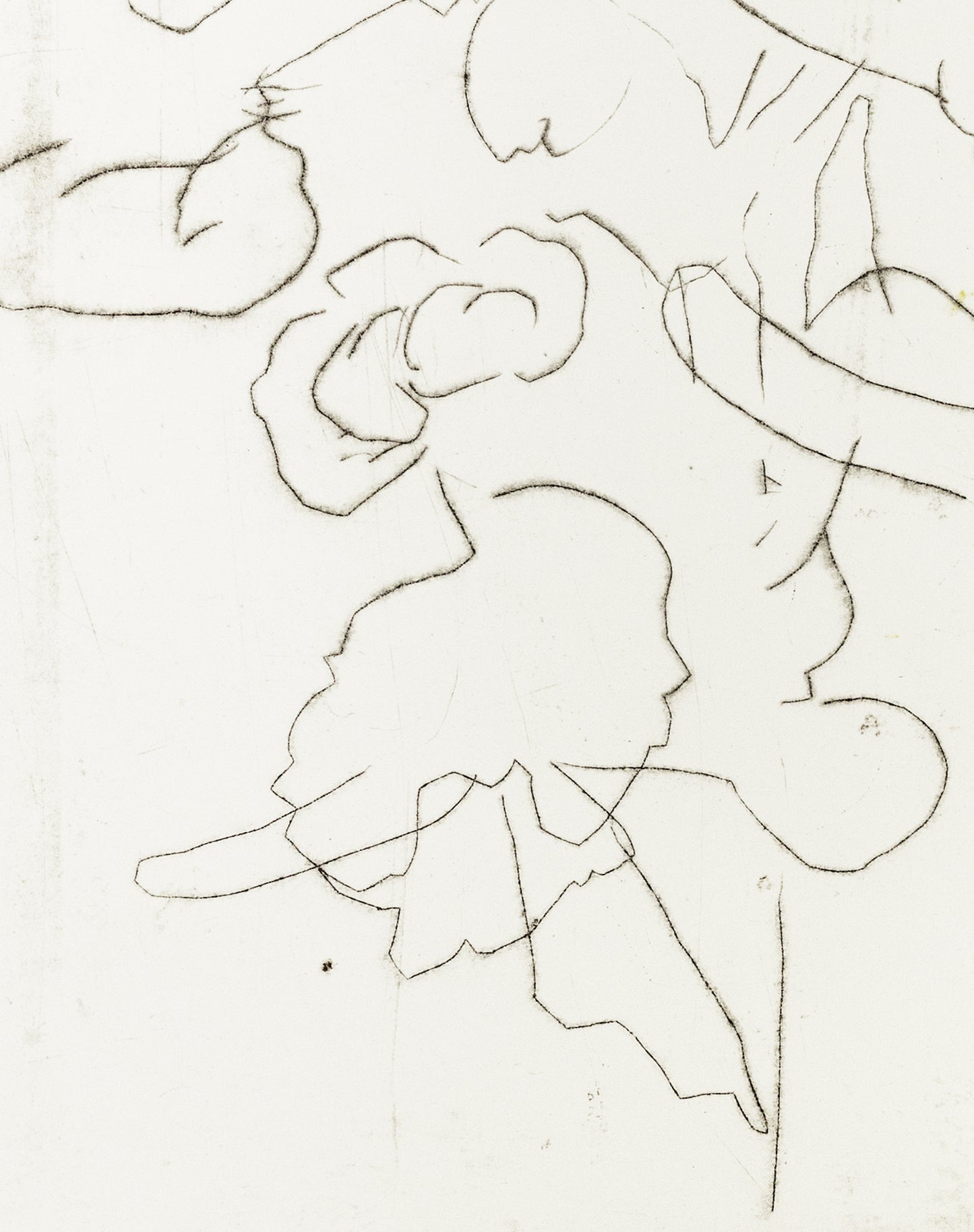 Zarte Kaltnadelradierung mit floralen Linien und Formen auf weißem Grund, minimalistisch und transparent – Delicate etching with floral lines and shapes on white background, minimal and airy