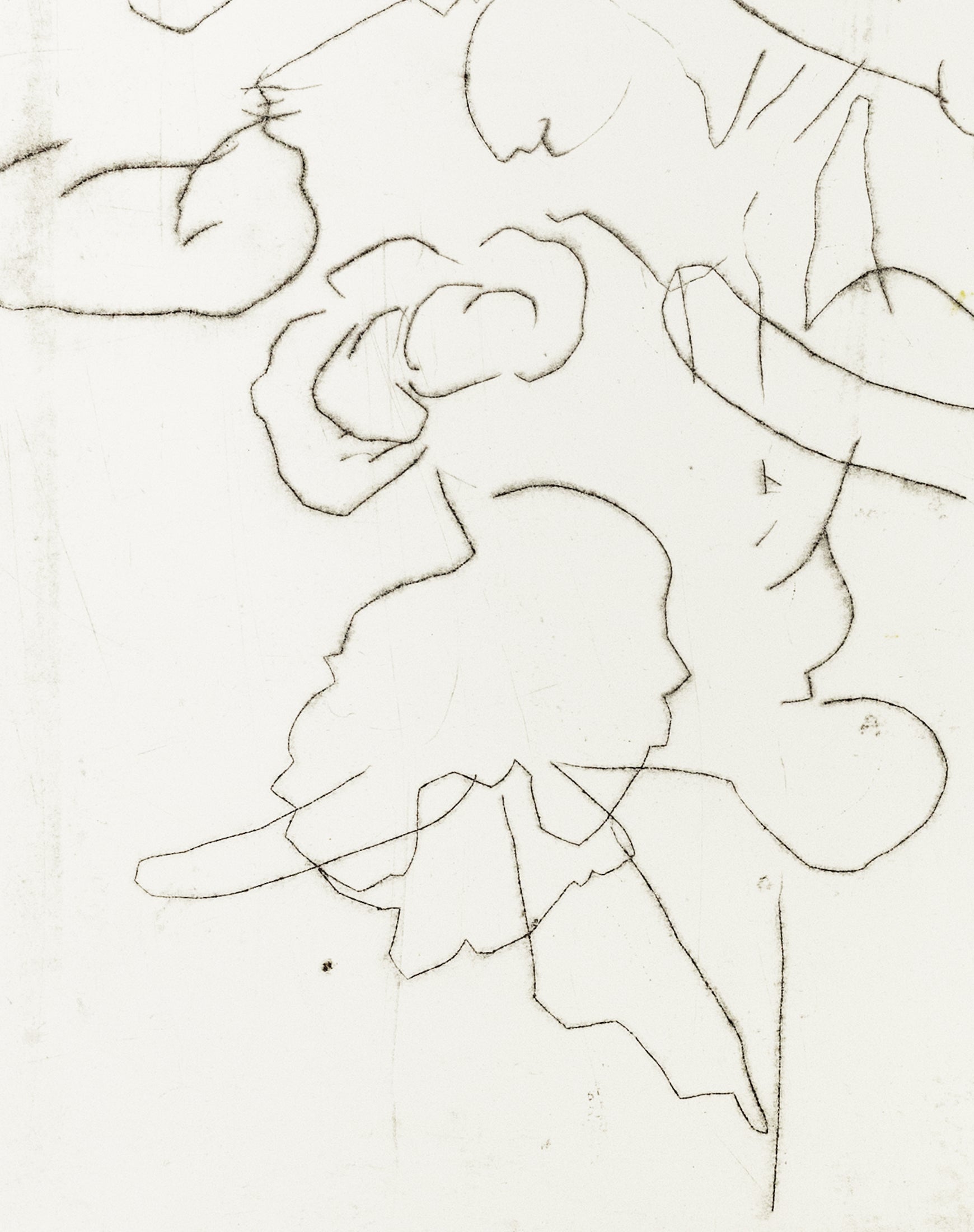 Zarte Kaltnadelradierung mit floralen Linien und Formen auf weißem Grund, minimalistisch und transparent – Delicate etching with floral lines and shapes on white background, minimal and airy