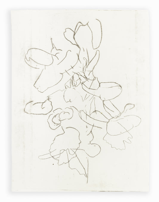 Zarte Kaltnadelradierung mit floralen Linien und Formen auf weißem Grund, minimalistisch und transparent – Delicate etching with floral lines and shapes on white background, minimal and airy