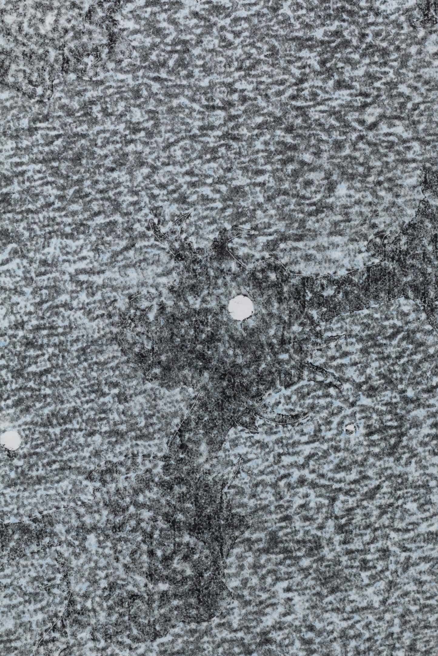 Abstraktes monochromes Kunstwerk in Grautönen mit organischen Strukturen und kreisförmigen Elementen – Abstract monochrome artwork in shades of grey with organic textures and circular shapes