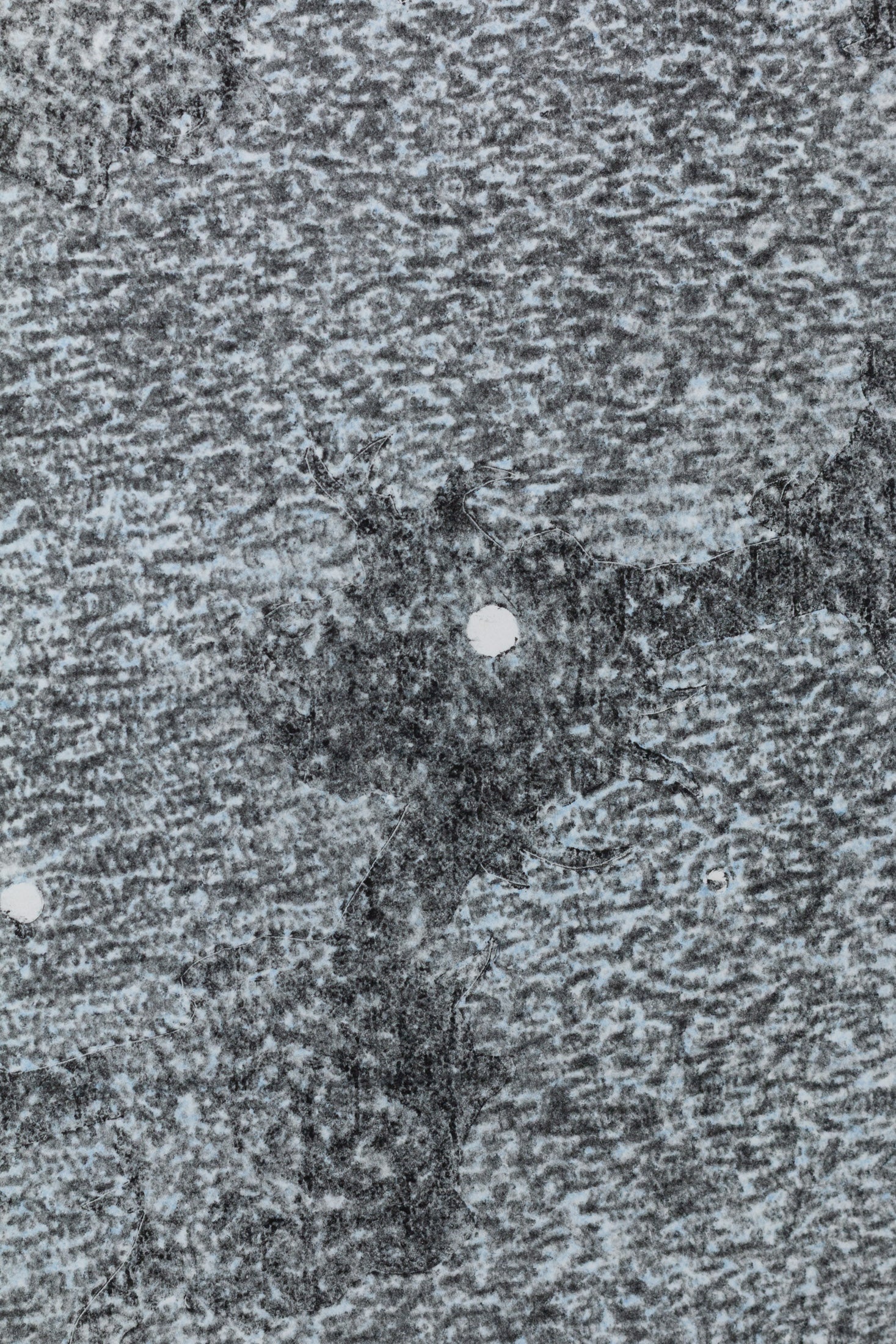 Abstraktes monochromes Kunstwerk in Grautönen mit organischen Strukturen und kreisförmigen Elementen – Abstract monochrome artwork in shades of grey with organic textures and circular shapes