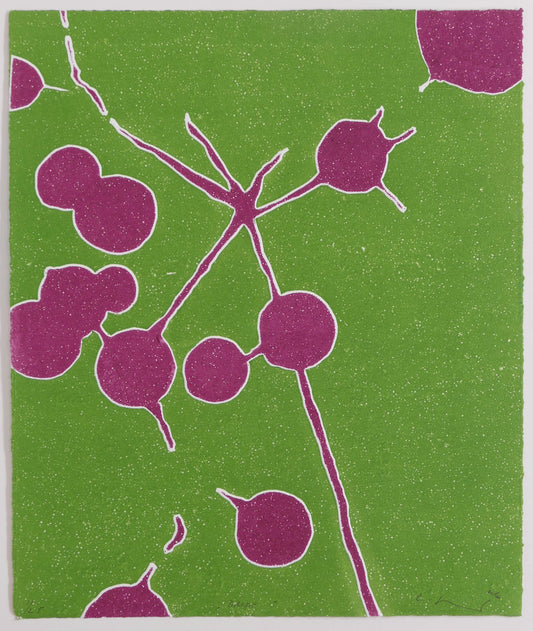 knalliges-gruen-und-violett-kugelformen-holler-holybush