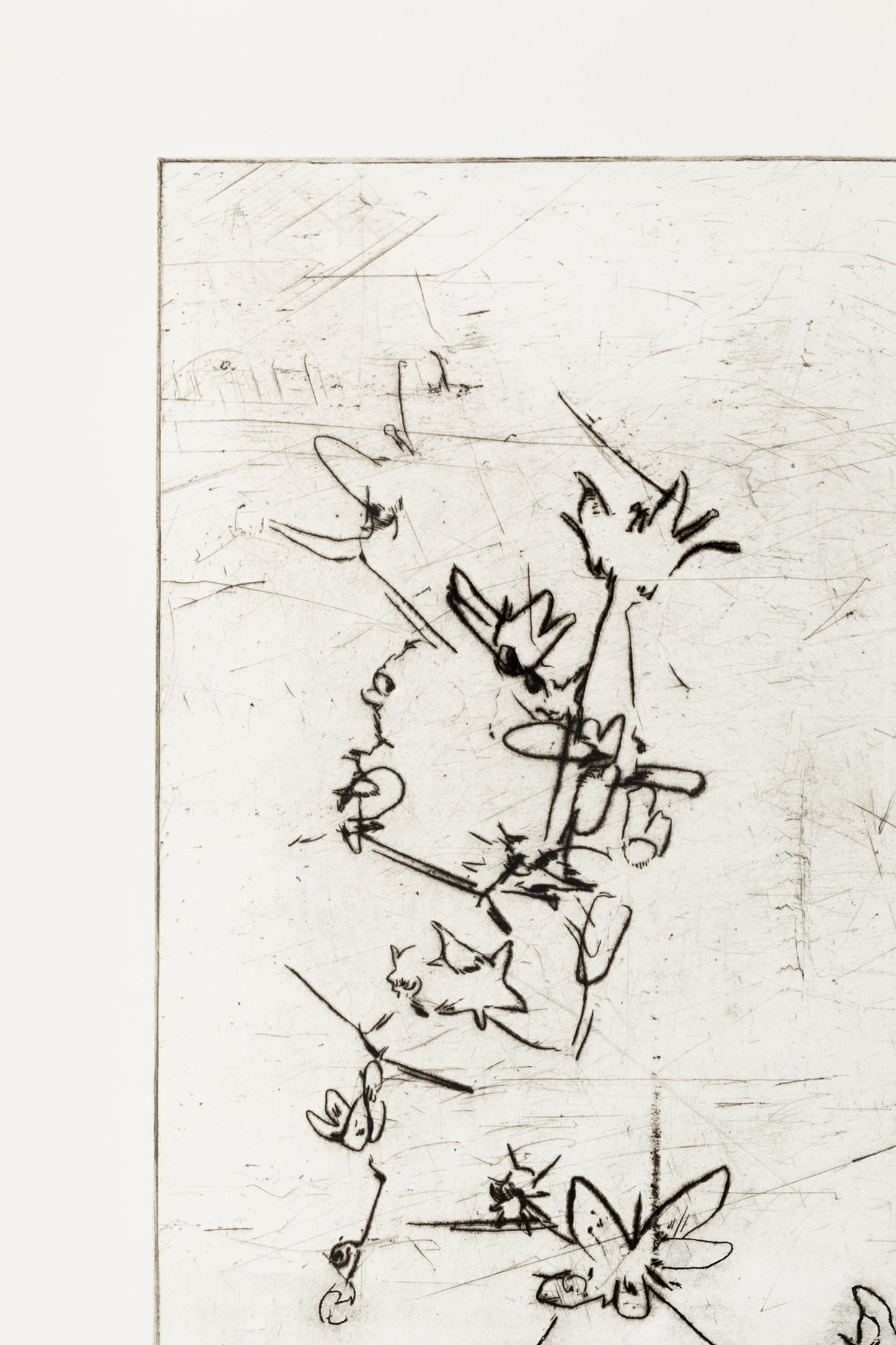 Feine Kaltnadelradierung von Blüten in schwarz auf weißem Grund mit filigranen Linien und transparenter Wirkung – Delicate floral etching in black on white background with fine lines and translucent effect.