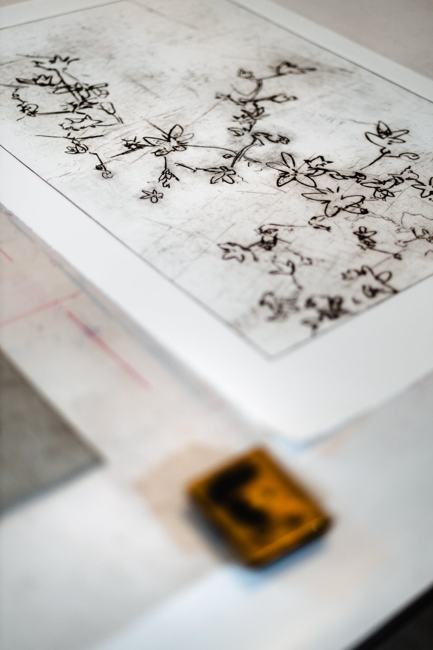 Feine Kaltnadelradierung von Blüten in schwarz auf weißem Grund mit filigranen Linien und transparenter Wirkung – Delicate floral etching in black on white background with fine lines and translucent effect.