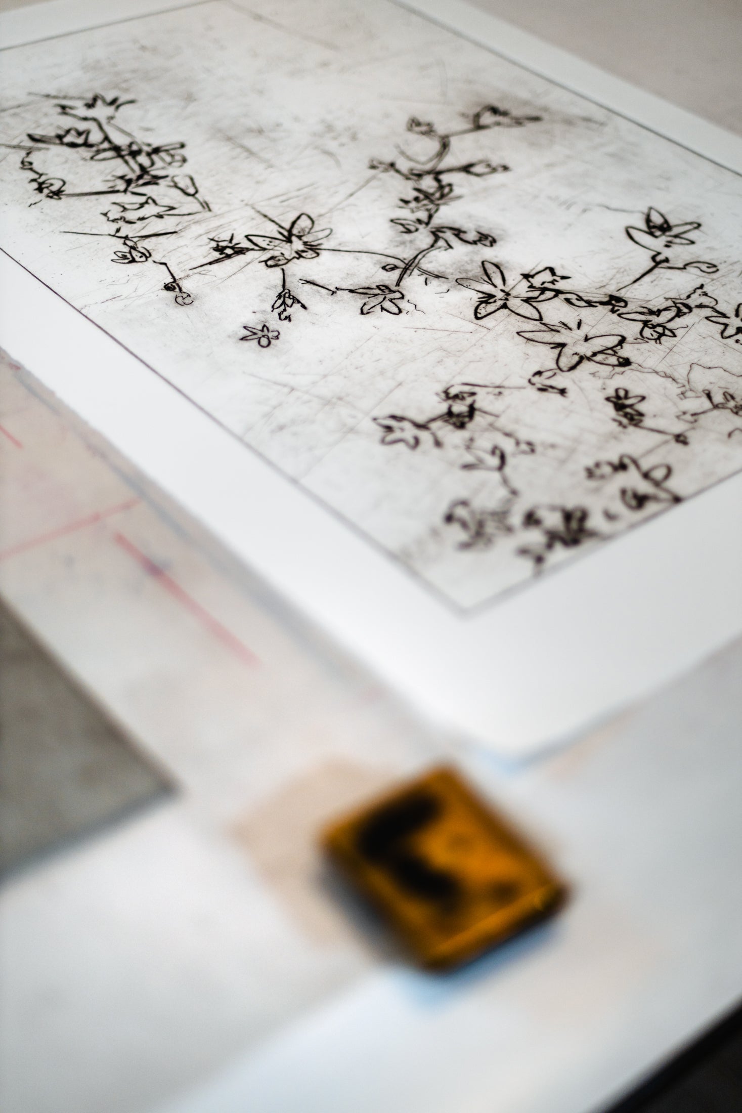 Feine Kaltnadelradierung von Blüten in schwarz auf weißem Grund mit filigranen Linien und transparenter Wirkung – Delicate floral etching in black on white background with fine lines and translucent effect.