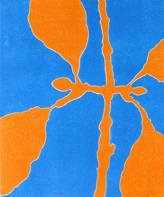 knallig-orange-blau-kontrast-astgabel-zweig-eines-Pfaffenhuettchen