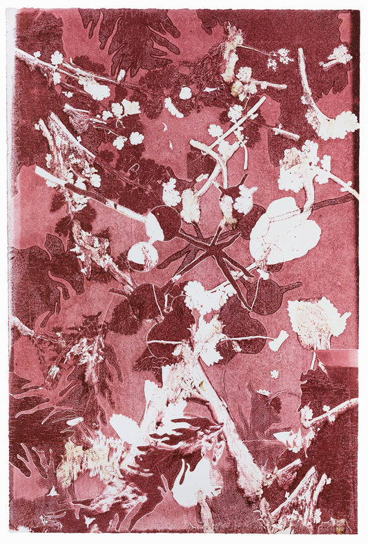 Abstrakte Monotypie Pflanzenstruktur in Rot-, Rosa-und Weißtönen mit feinen Formen und überlagerten Schichten – Abstract monotype with plant structure in red, pink and white tones with delicate shapes and layered textures
