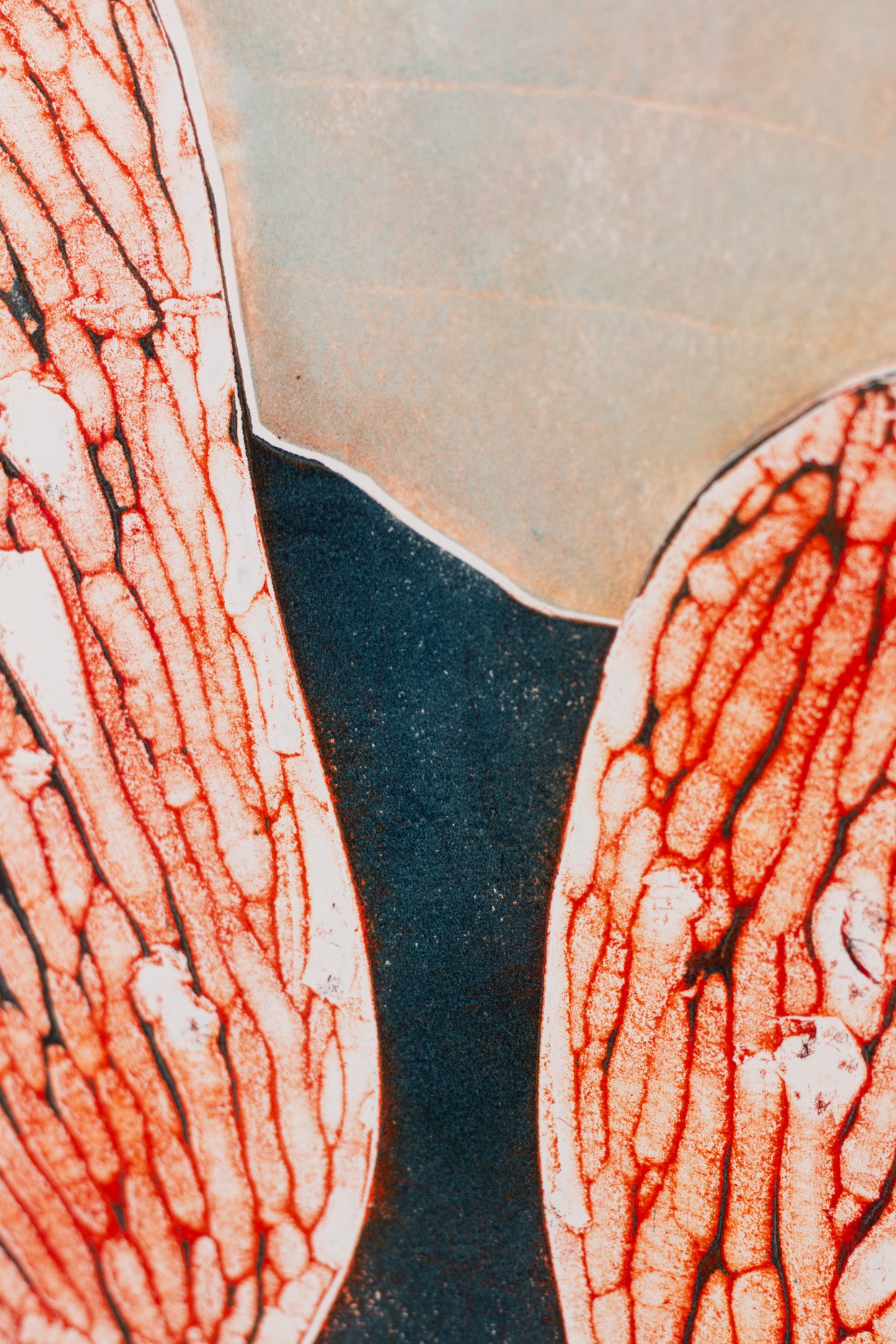 Abstrakte Pflanzenstruktur in Orange- und Blautönen mit Linien und reliefartiger Oberfläche – Abstract plant structure in orange and blue tones with lines and textured surface.