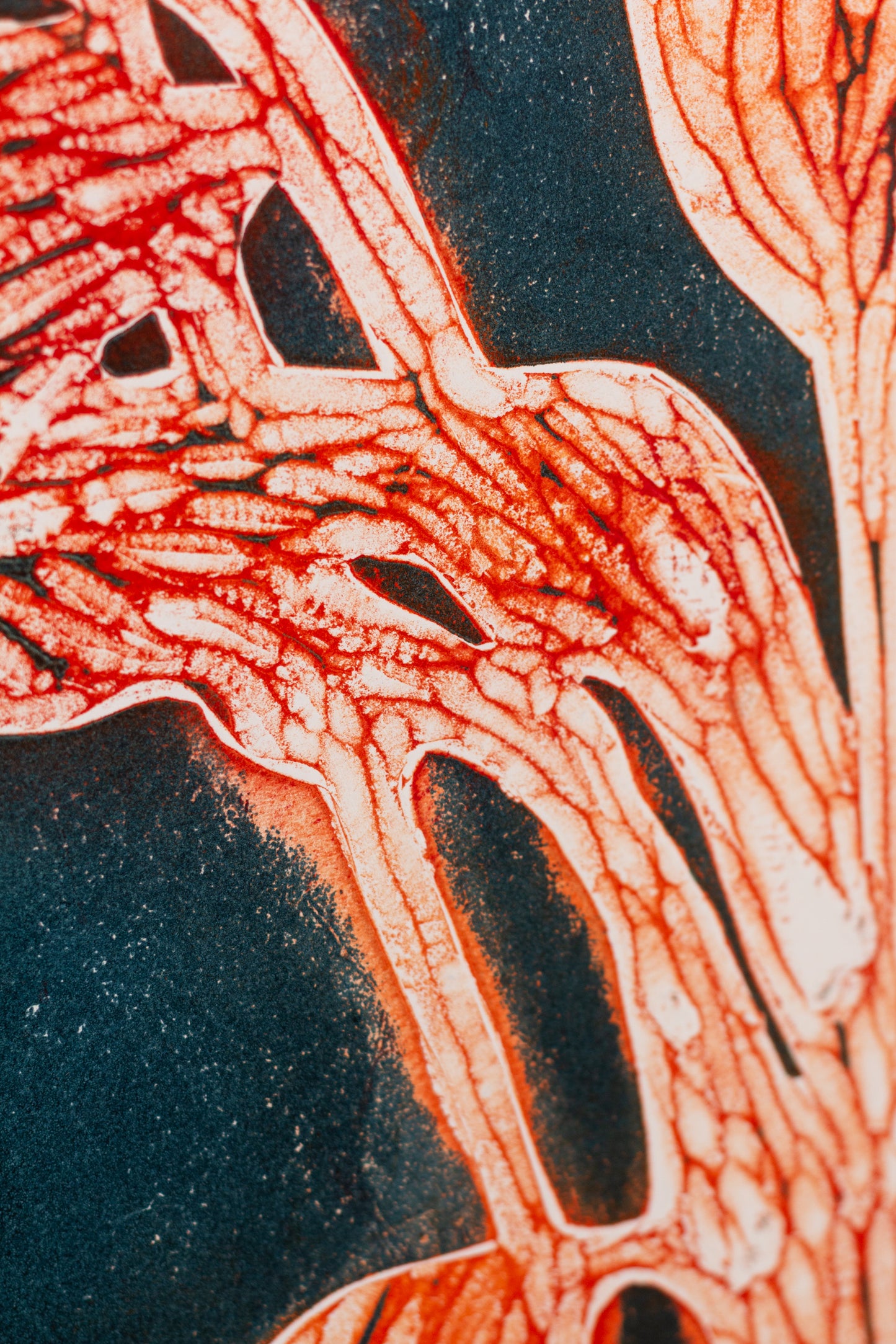 Abstrakte Pflanzenstruktur in Orange- und Blautönen mit Linien und reliefartiger Oberfläche – Abstract plant structure in orange and blue tones with lines and textured surface.