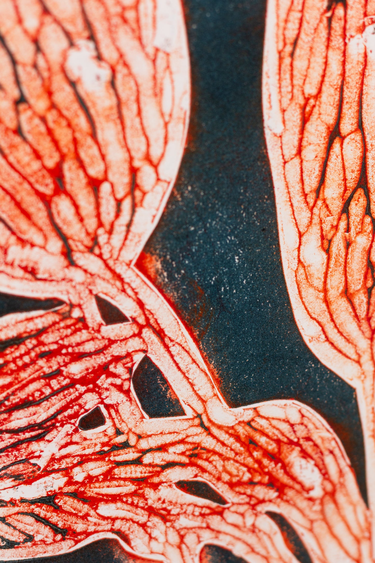 Abstrakte Pflanzenstruktur in Orange- und Blautönen mit Linien und reliefartiger Oberfläche – Abstract plant structure in orange and blue tones with lines and textured surface.