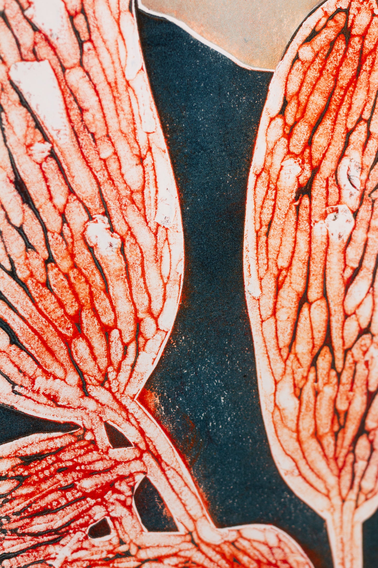 Abstrakte Pflanzenstruktur in Orange- und Blautönen mit Linien und reliefartiger Oberfläche – Abstract plant structure in orange and blue tones with lines and textured surface.