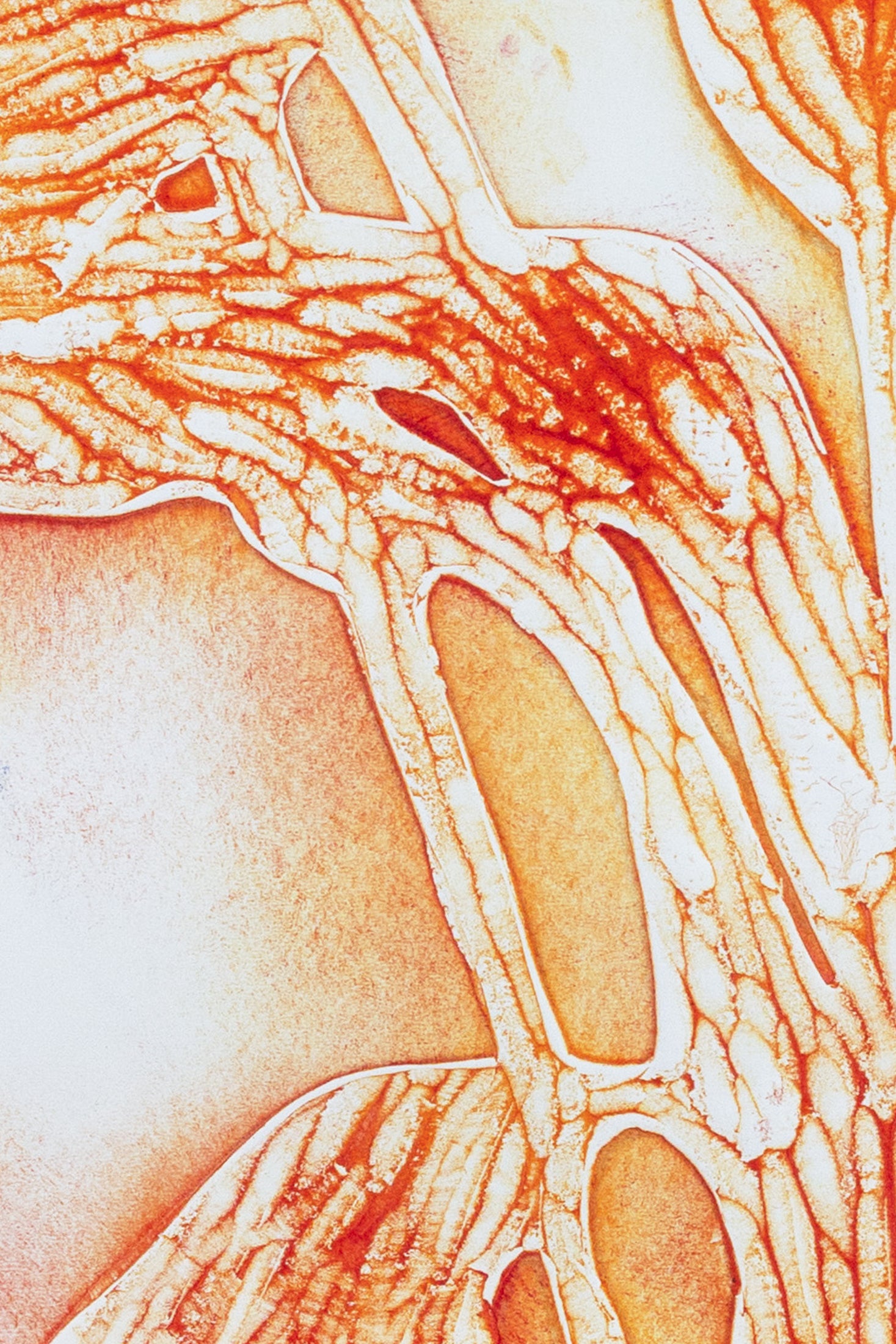 Abstrakte Pflanzenstruktur in warmen Orange- und Gelbtönen, organische Linien auf hellem Hintergrund – Abstract plant-inspired art print in orange and yellow tones.