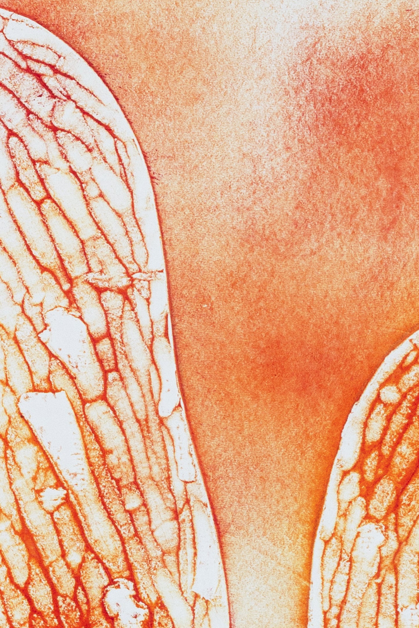 Abstrakte Pflanzenstruktur in warmen Orange- und Gelbtönen, organische Linien auf hellem Hintergrund – Abstract plant-inspired art print in orange and yellow tones.