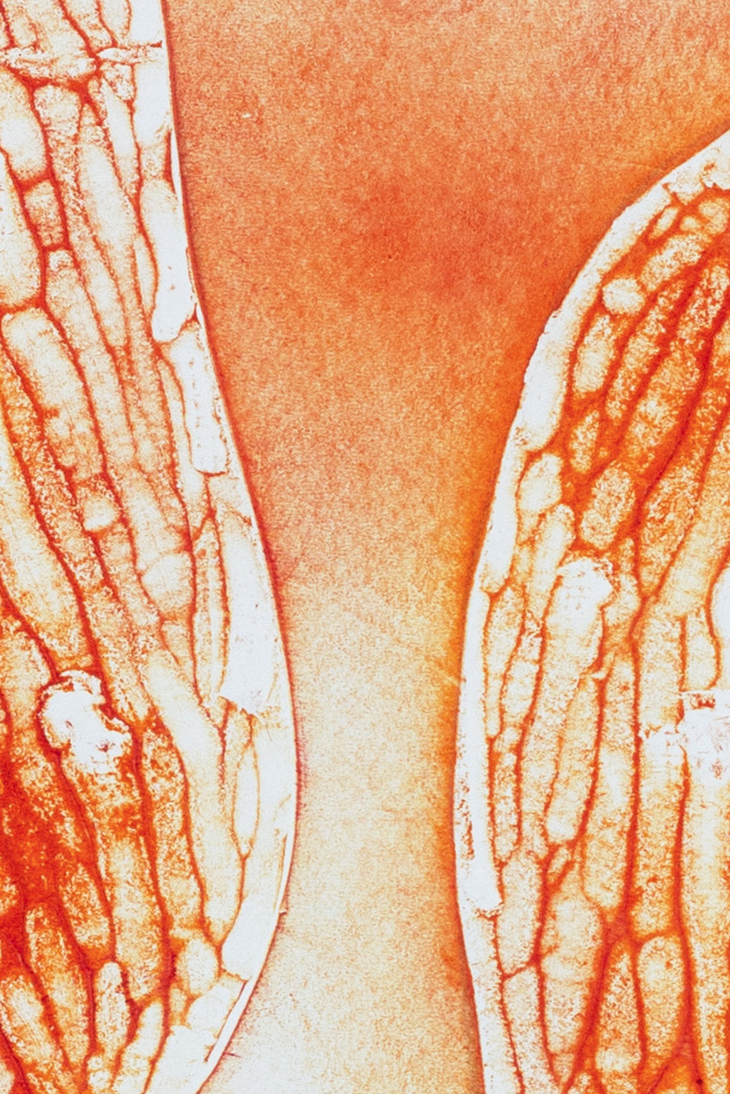 Abstrakte Pflanzenstruktur in warmen Orange- und Gelbtönen, organische Linien auf hellem Hintergrund – Abstract plant-inspired art print in orange and yellow tones.