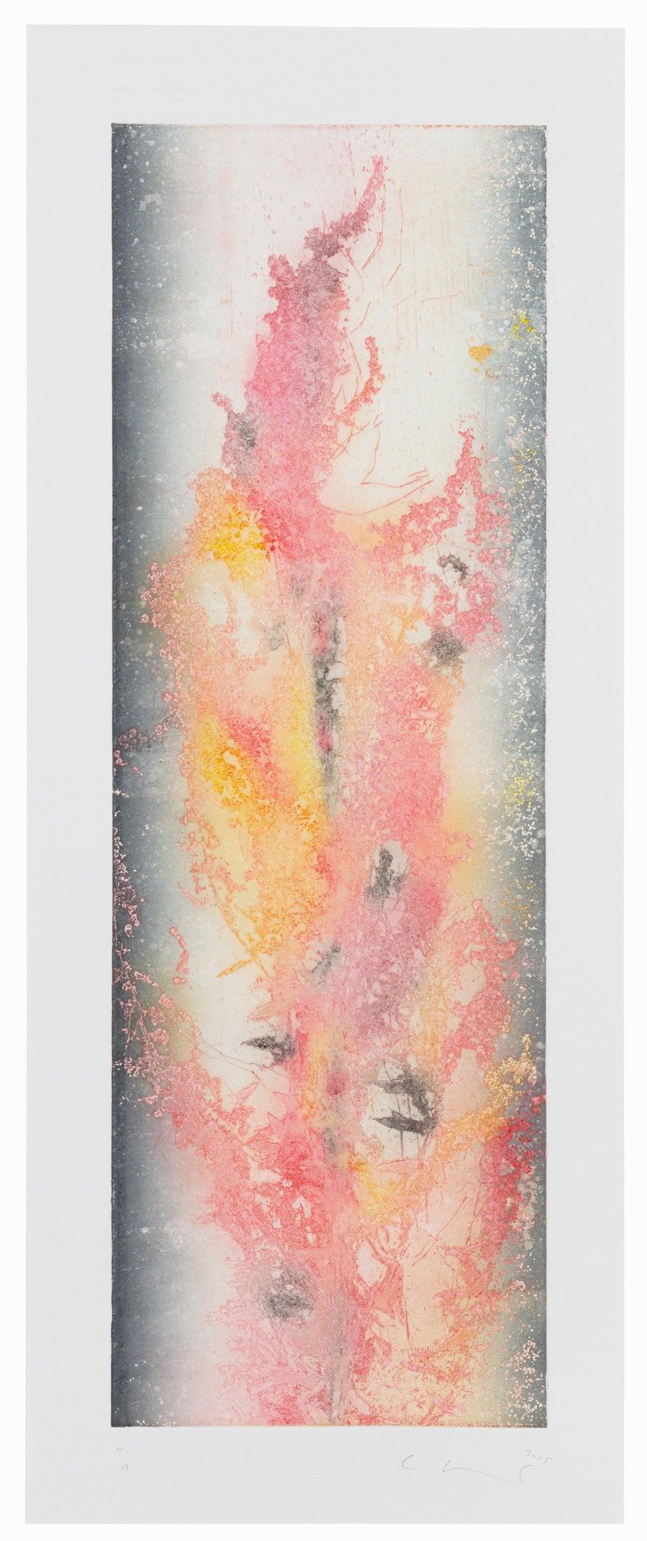 Abstrakte Pflanzenstruktur in Rosa-, Gelb- und Grautönen mit weichen Farbverläufen und organischen Linien – Abstract plant structure in pink, yellow and grey tones with soft gradients and organic shapes.