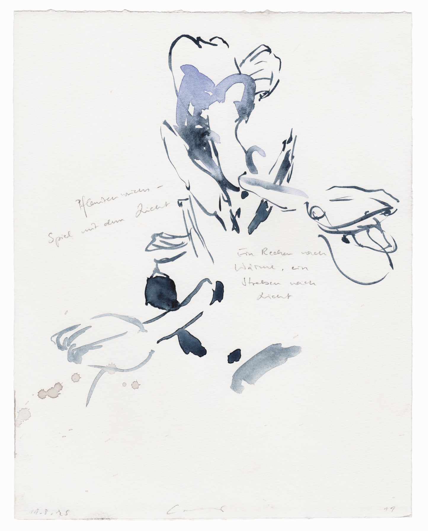 Abstrakte Radierung mit Pflanzenmotiv von Knabenkraut mit feinen blauen Linien und Flächen – Abstract etching with plant motif of a marsh orchid with fine blue lines and areas.