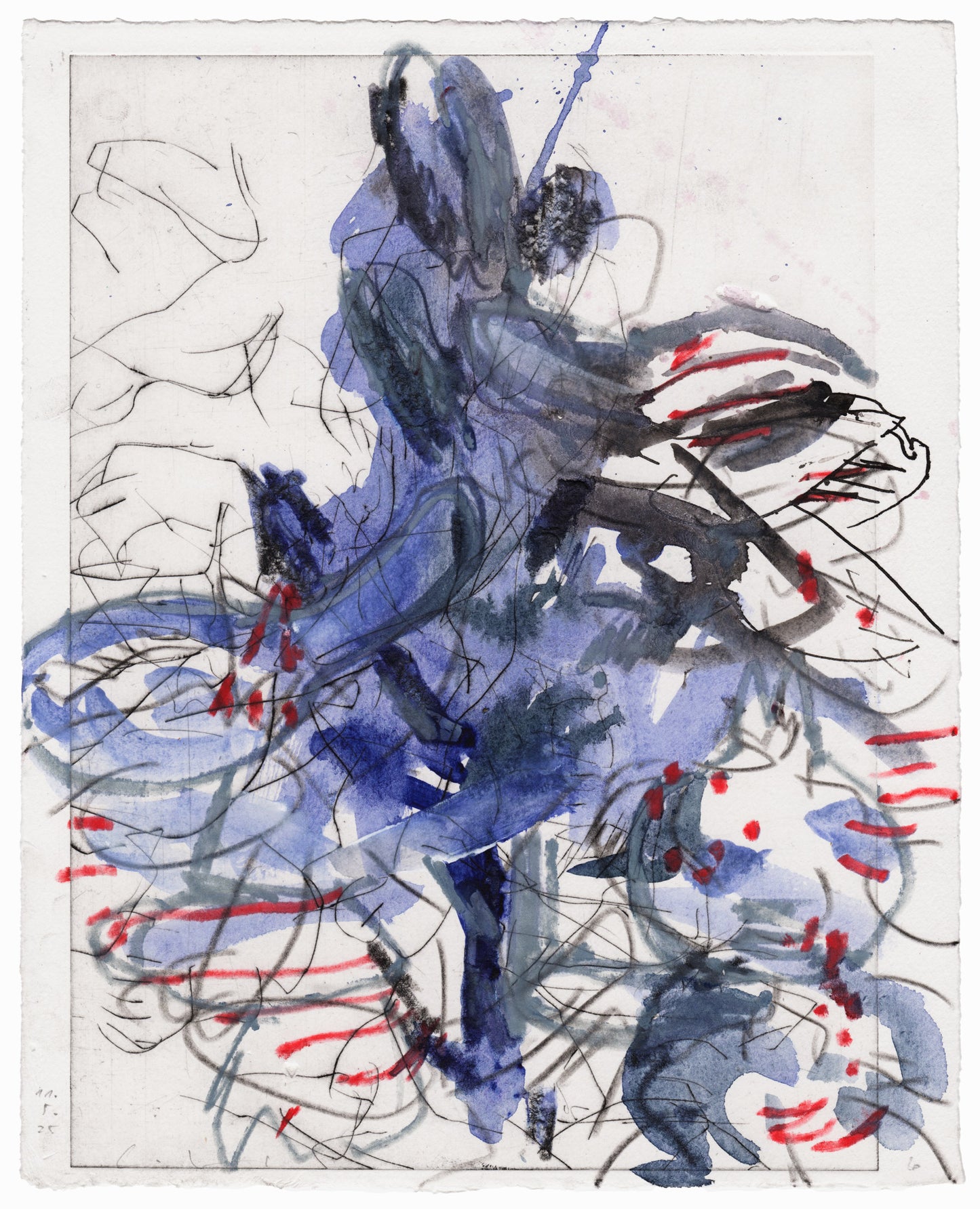 Abstrakte Radierung mit Pflanzenmotiv von Knabenkraut mit feinen schwarzen  und roten Linien und Flächen in Schwarz- und Blautönen – Abstract etching of plant motif of a marsh orchid with fine black and red lines and areas of black and blue.