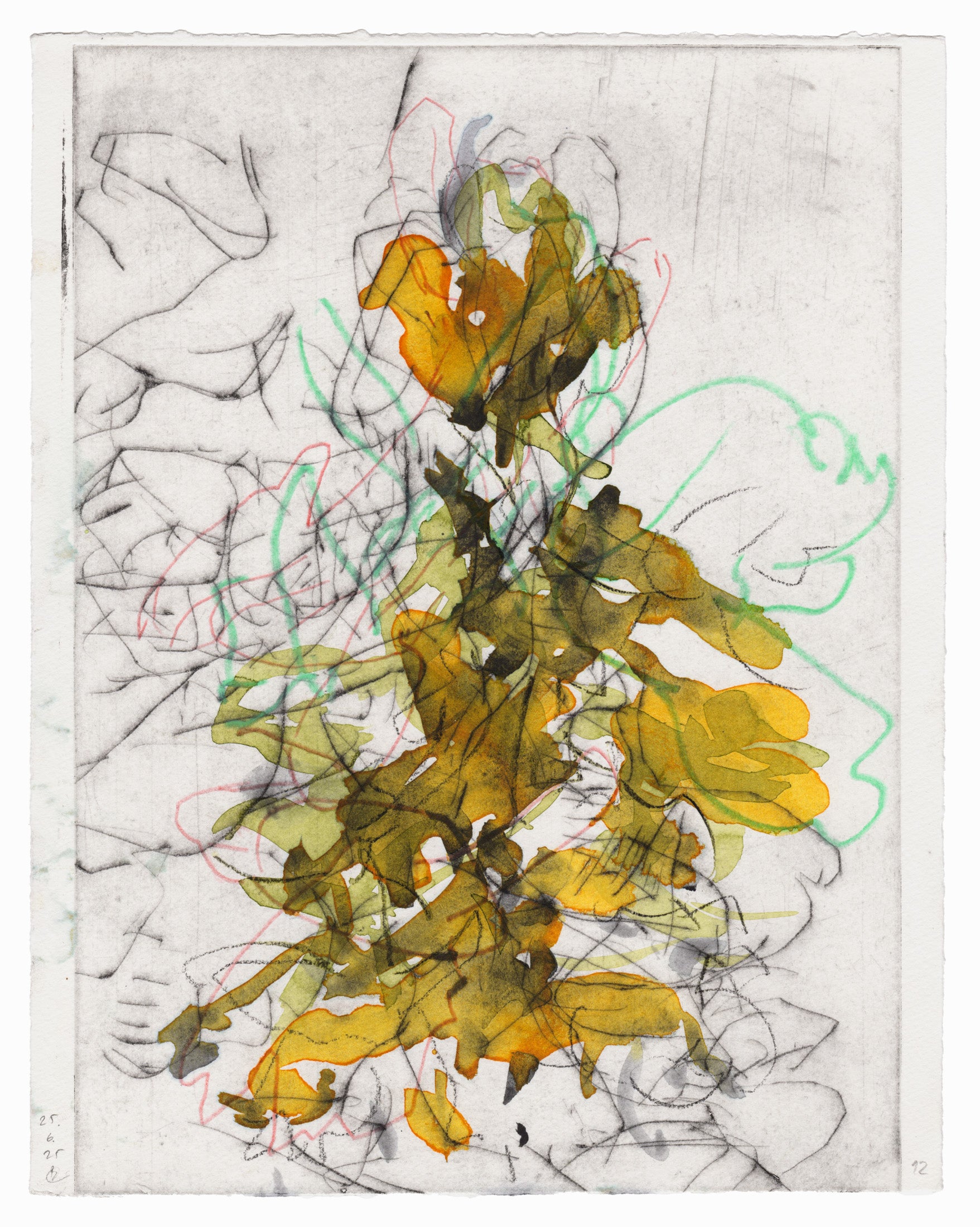 Abstrakte Radierung mit Pflanzenmotiv von Knabenkraut mit feinen schwarzen, grünen und roten Linien und Flächen in Grün- und Gelbtönen – Abstract etching of plant motif of a marsh orchid with fine black, green and red lines and areas of green and yellow.