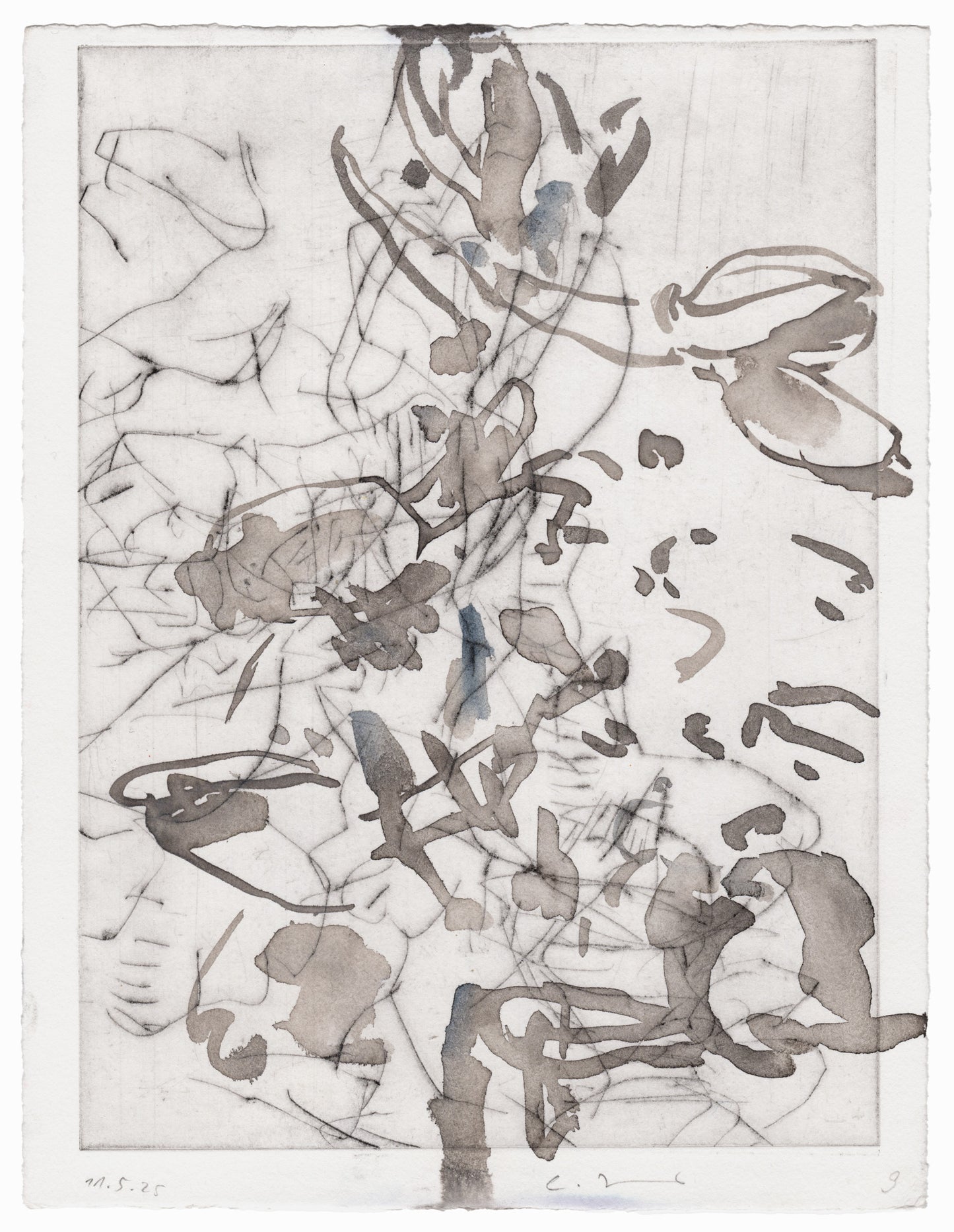 Abstrakte Radierung mit Pflanzenmotiv von Knabenkraut mit feinen schwarzen Linien und Flächen in Grautönen – Abstract etching of plant motif of a marsh orchid with fine black lines and areas of grey.