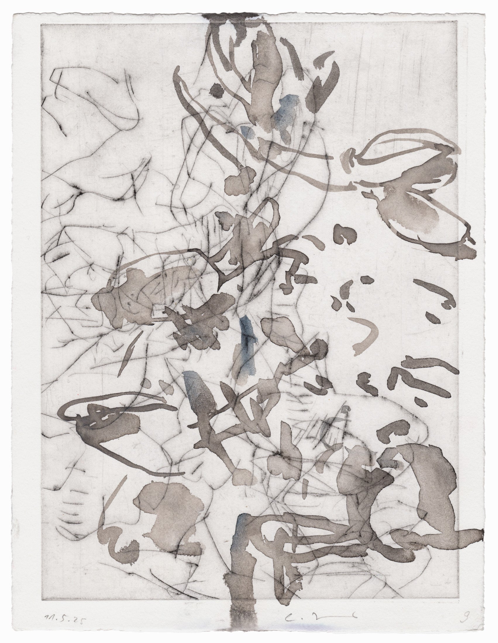 Abstrakte Radierung mit Pflanzenmotiv von Knabenkraut mit feinen schwarzen Linien und Flächen in Grautönen – Abstract etching of plant motif of a marsh orchid with fine black lines and areas of grey.