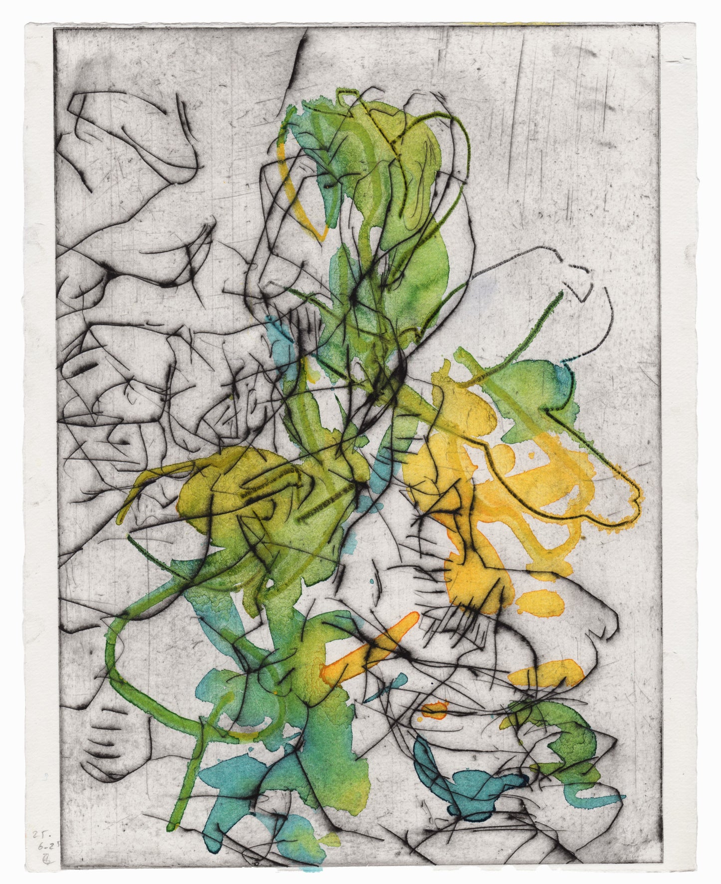 Abstrakte Radierung mit Pflanzenmotiv von Knabenkraut mit feinen schwarzen Linien und Flächen in Grün-, Gelb- und Blautönen – Abstract etching of plant motif of a marsh orchid with fine black lines and areas of green, yellow, and blue.
