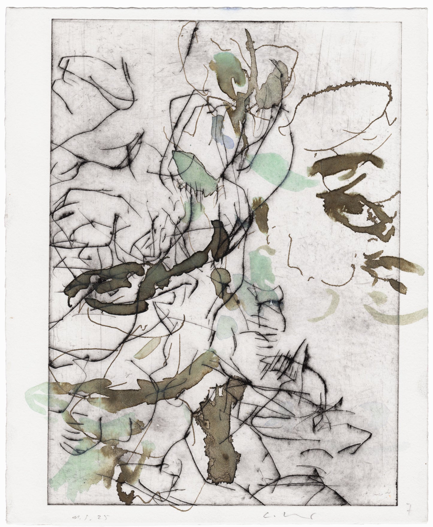 Abstrakte Radierung mit Pflanzenmotiv von Knabenkraut mit feinen schwarzen Linien und Flächen in Schwarz- und Türkistönen – Abstract etching of plant motif of a marsh orchid with fine black lines and areas of black and green.