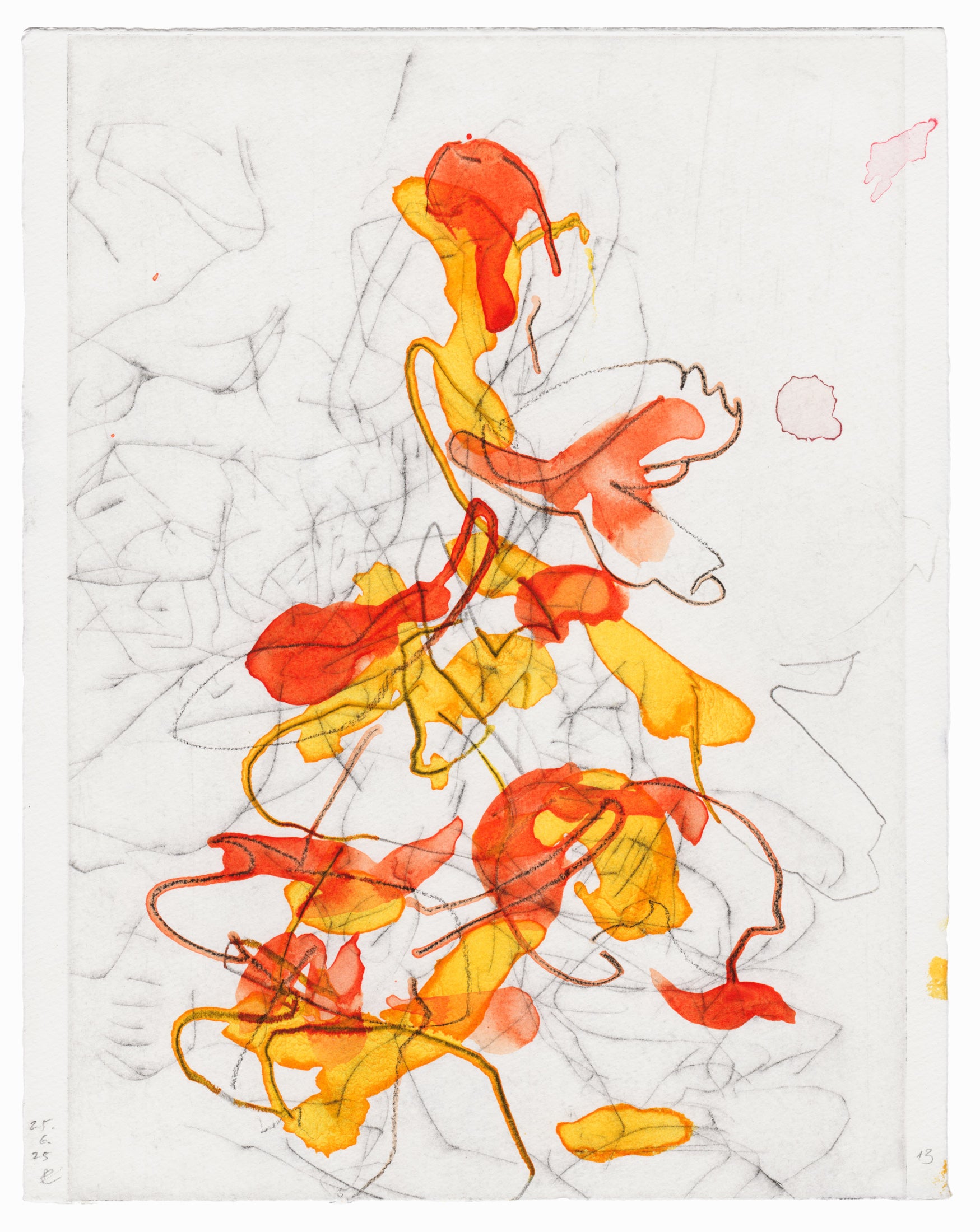 Abstrakte Radierung mit Pflanzenmotiv von Knabenkraut mit feinen schwarzen Linien und Flächen in Orange- und Gelbtönen – Abstract etching of plant motif of a marsh orchid with fine black lines and areas of yellow and orange.