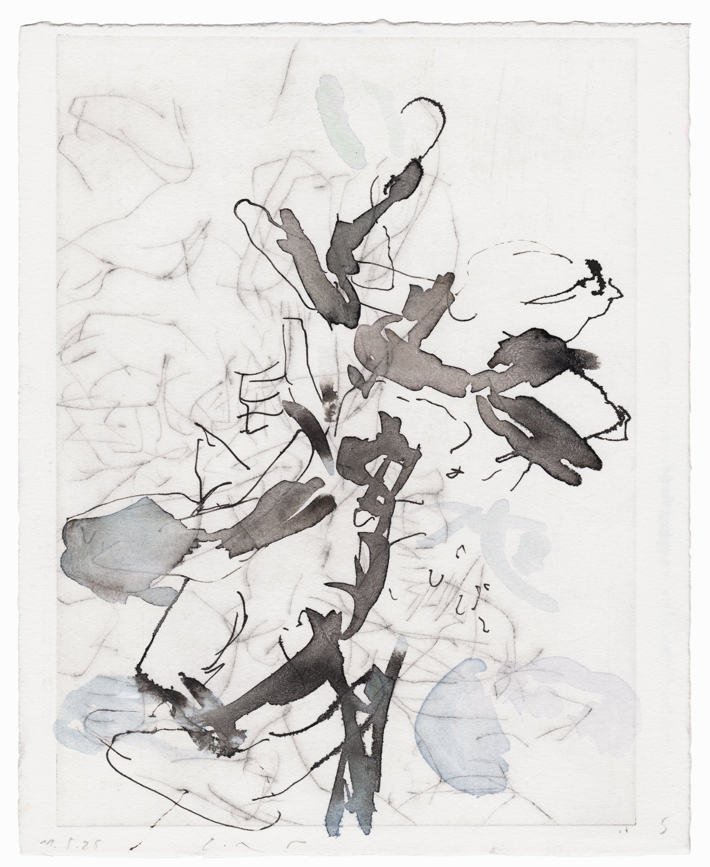 Abstrakte Radierung mit Pflanzenmotiv von Knabenkraut mit feinen schwarzen Linien und Flächen in Schwarz- und Blautönen – Abstract etching of plant motif of a marsh orchid with fine black lines and areas of black and light blue.