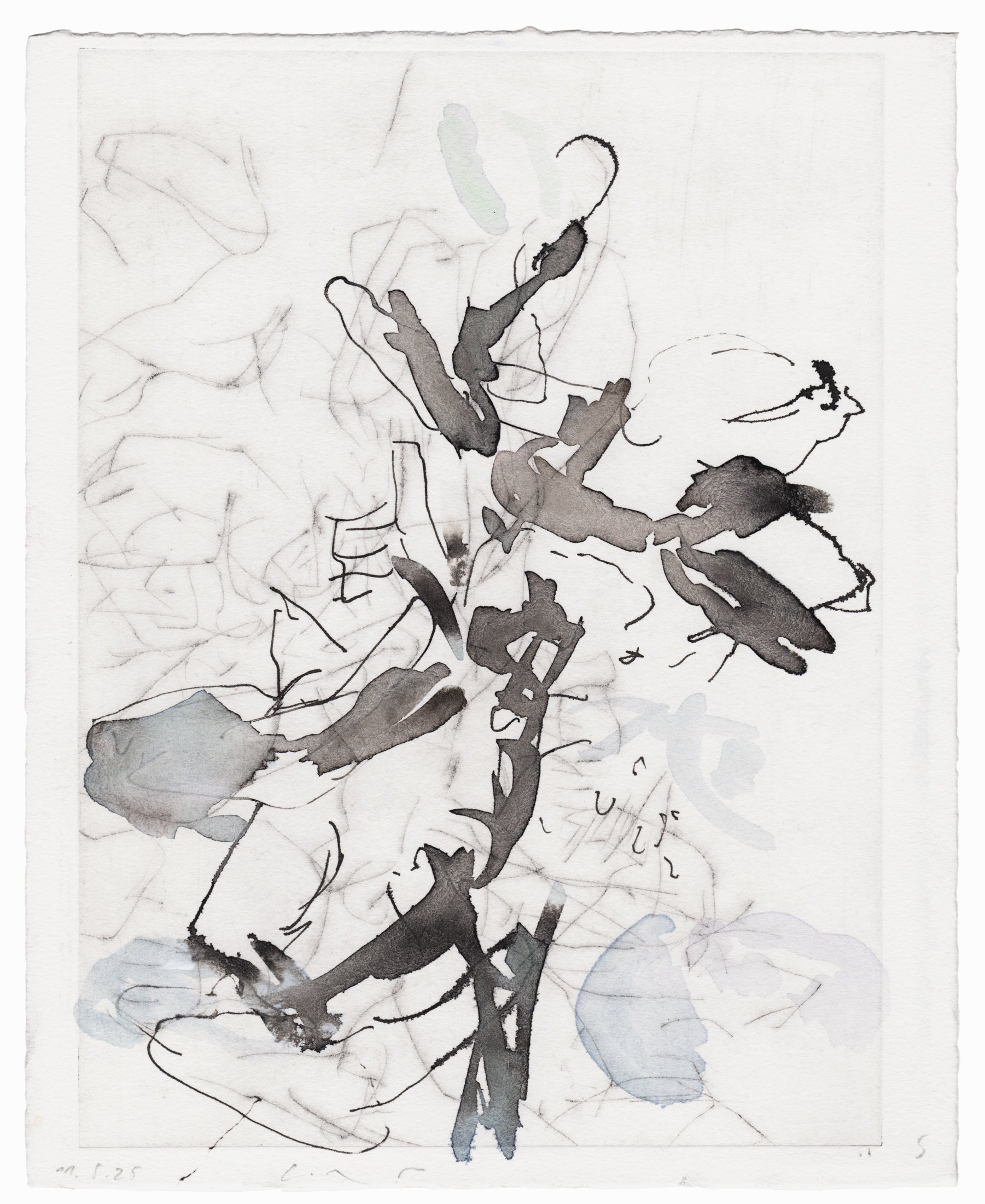 Abstrakte Radierung mit Pflanzenmotiv von Knabenkraut mit feinen schwarzen Linien und Flächen in Schwarz- und Blautönen – Abstract etching of plant motif of a marsh orchid with fine black lines and areas of black and light blue.