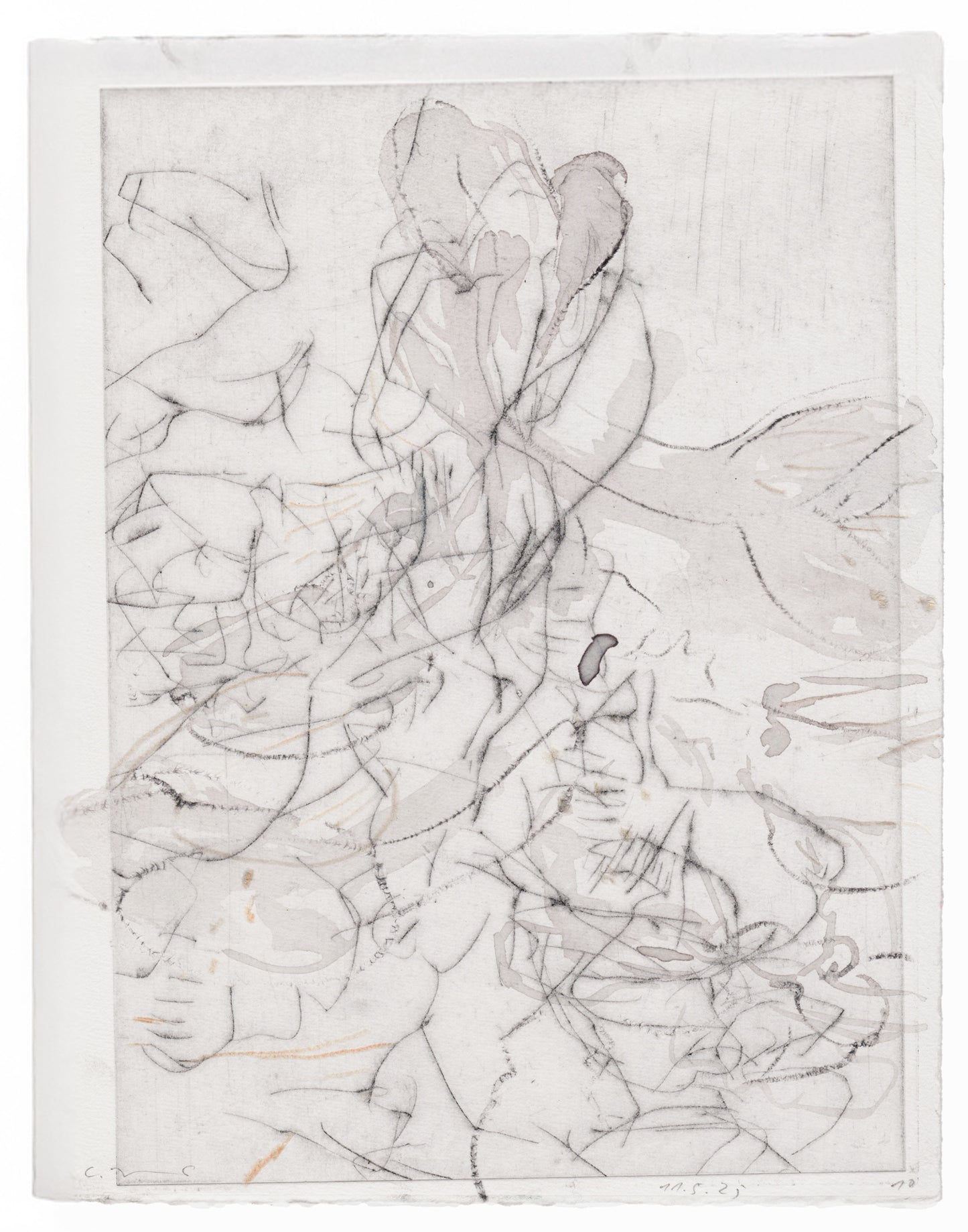 Abstrakte Radierung mit Pflanzenmotiv von Knabenkraut mit feinen schwarzen Linien – Abstract etching with plant motif of a marsh orchid with fine black lines.