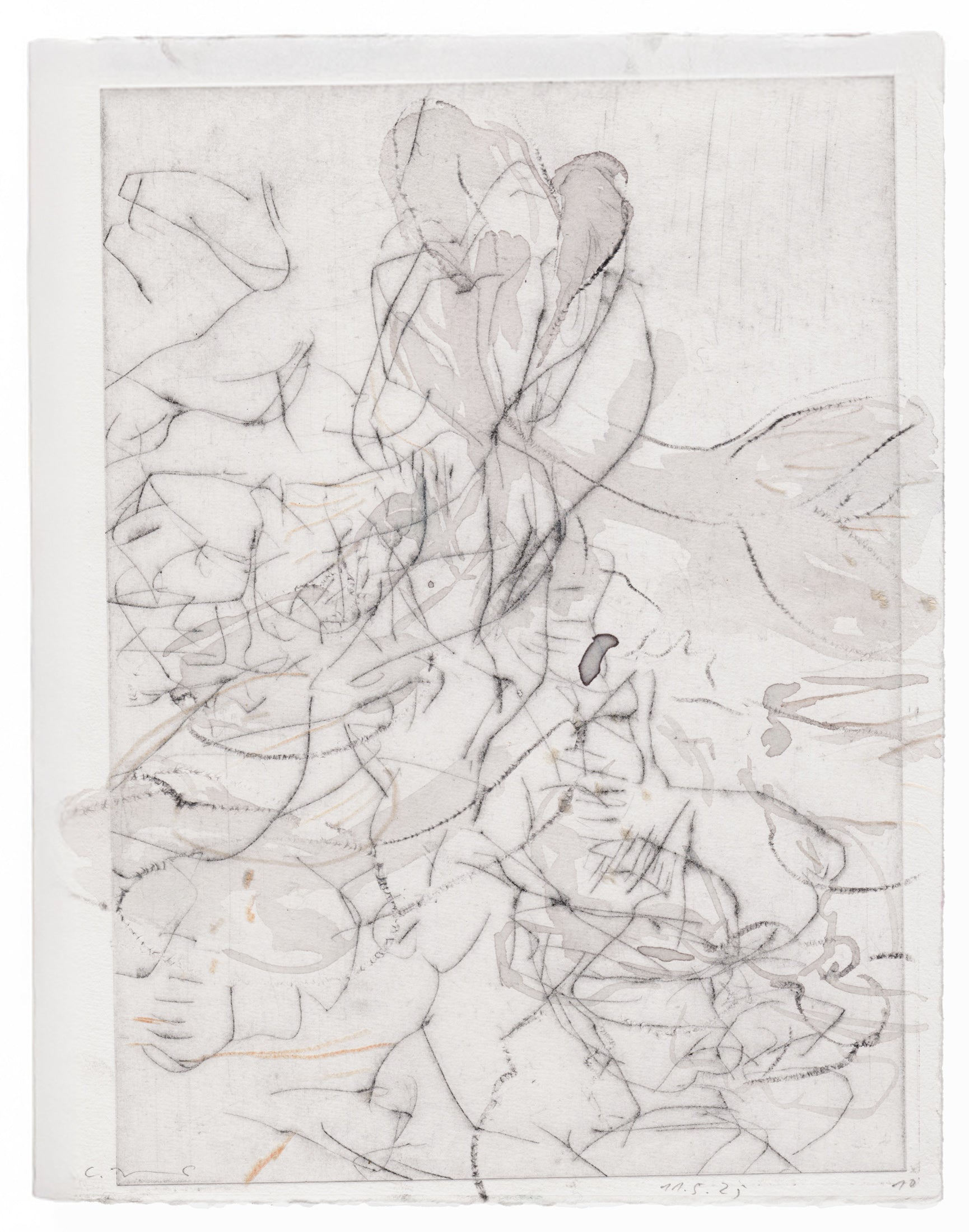 Abstrakte Radierung mit Pflanzenmotiv von Knabenkraut mit feinen schwarzen Linien – Abstract etching with plant motif of a marsh orchid with fine black lines.