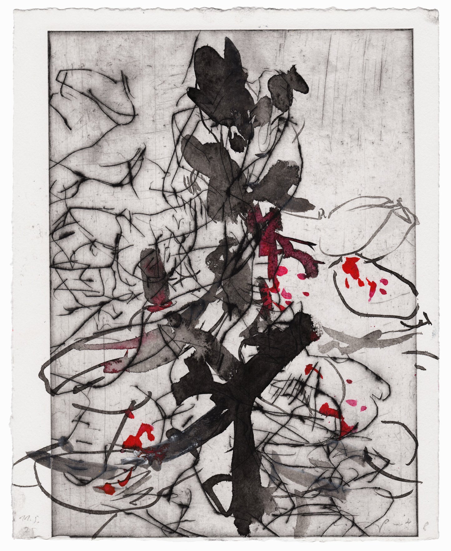 Abstrakte Radierung mit Pflanzenmotiv von Knabenkraut mit feinen schwarzen Linien und Flächen in Schwarz-, und Rottönen – Abstract etching of plant motif of a marsh orchid with fine black lines and areas of black and red.