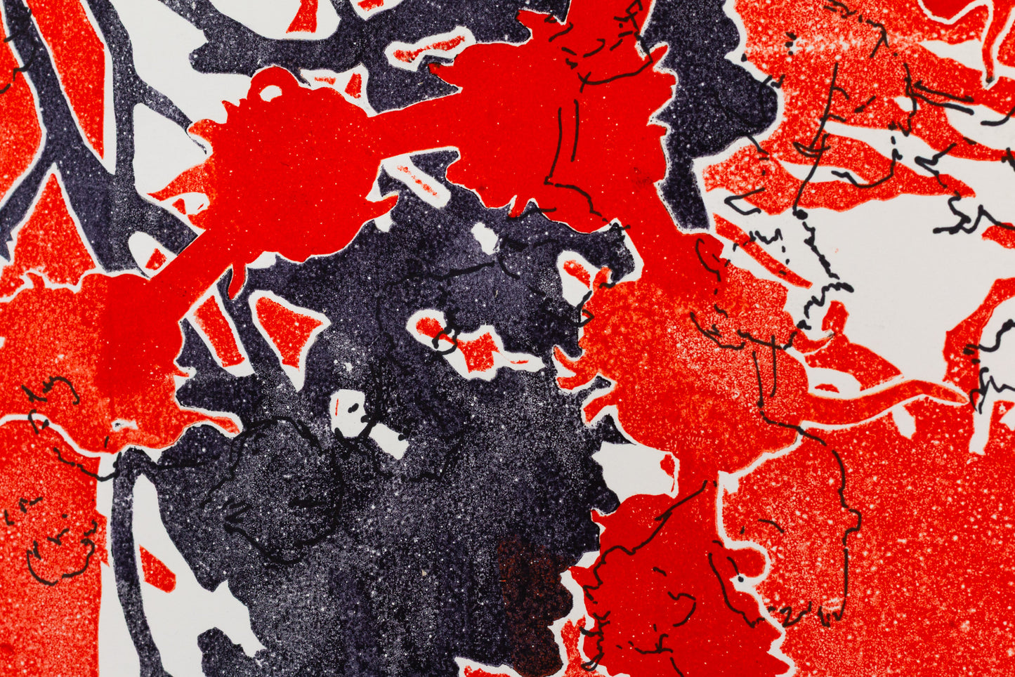 Abstraktes Pflanzenmotiv in kräftigem Rot und Schwarz mit überlagernden Strukturen und kontrastreichen Flächen – Abstract plant motif in bold red and black with layered structures and striking contrasts.