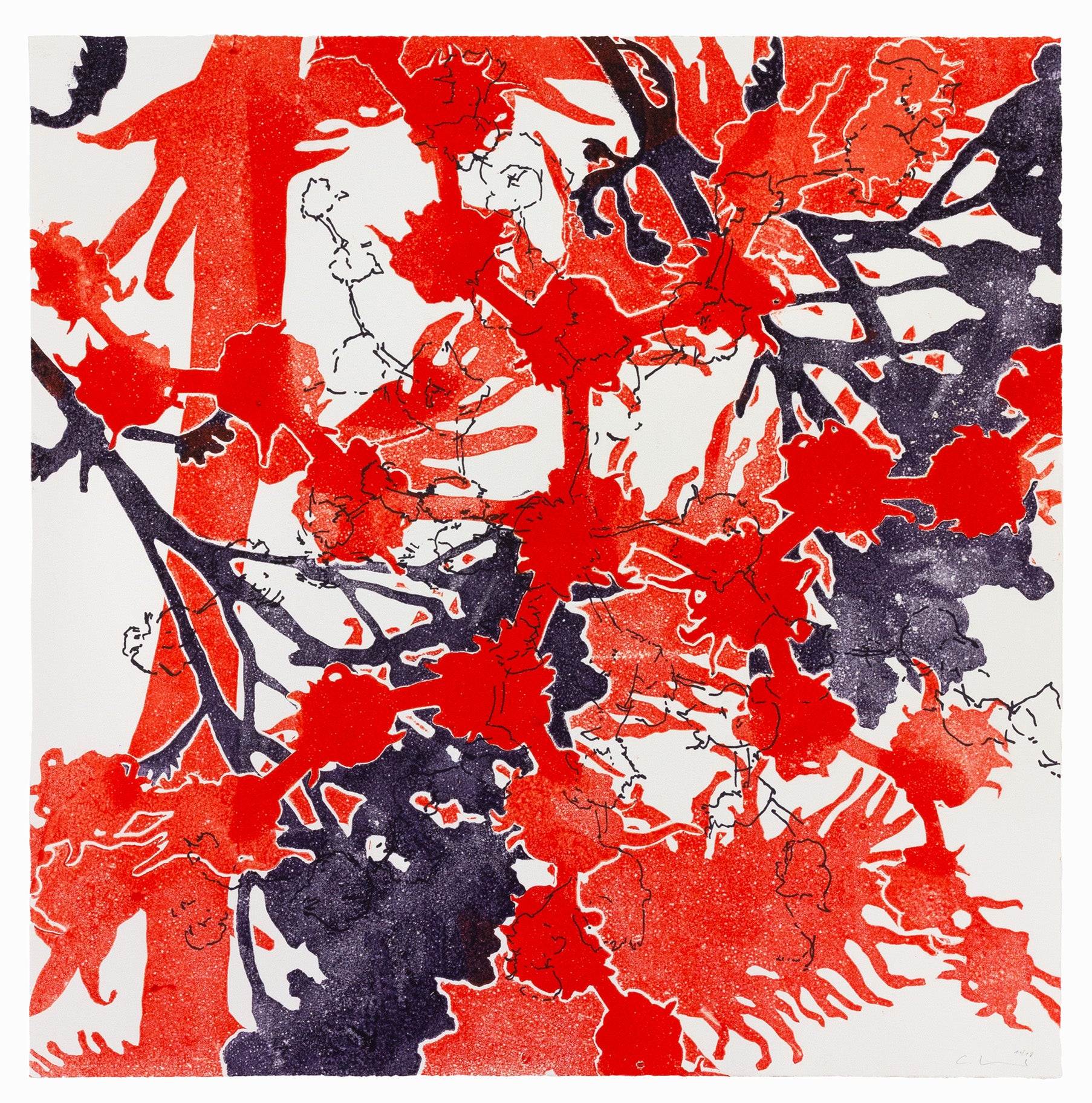 Abstraktes Pflanzenmotiv in kräftigem Rot und Schwarz mit überlagernden Strukturen und kontrastreichen Flächen – Abstract plant motif in bold red and black with layered structures and striking contrasts.