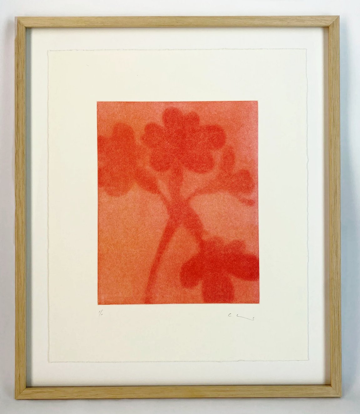 radierung-rote-schluesselblume-gerahmt-buettenpapier