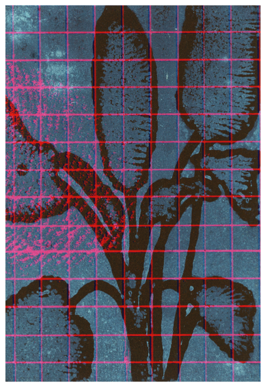 Grafisches Bild einer dunklen, silhouettenhaften Pflanzenstruktur auf blauem Hintergrund, überlagert von einem regelmäßigen, leuchtend pinken Raster. Die organische Form wirkt wie technisch vermessen oder gescannt. Die Gesamtwirkung ist dunkel und kontrastreich. Graphic image of a dark, silhouetted plant-like structure on a blue background, overlaid with a regular, bright pink grid. The organic form appears as if it has been technically measured or scanned. The overall impression is dark and high-contrast.