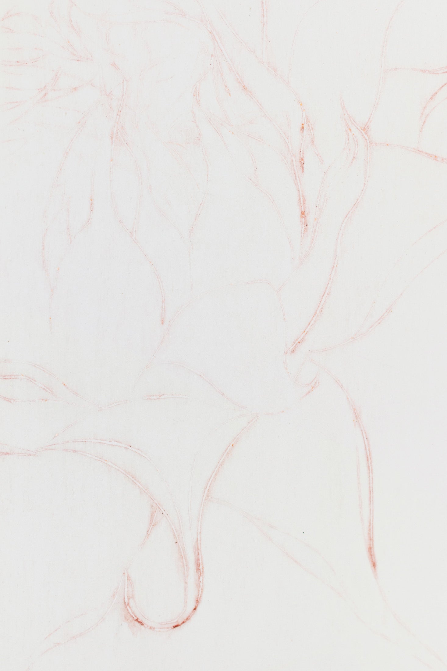 Feine Radierung einer Sonnenblume in Rot auf weißem Grund mit zarten Linien und reduzierter Form – Delicate etching of a sunflower in red on white background with fine lines and minimal composition.