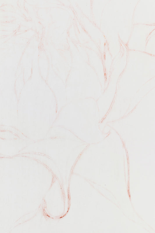 Feine Radierung einer Sonnenblume in Rot auf weißem Grund mit zarten Linien und reduzierter Form – Delicate etching of a sunflower in red on white background with fine lines and minimal composition.