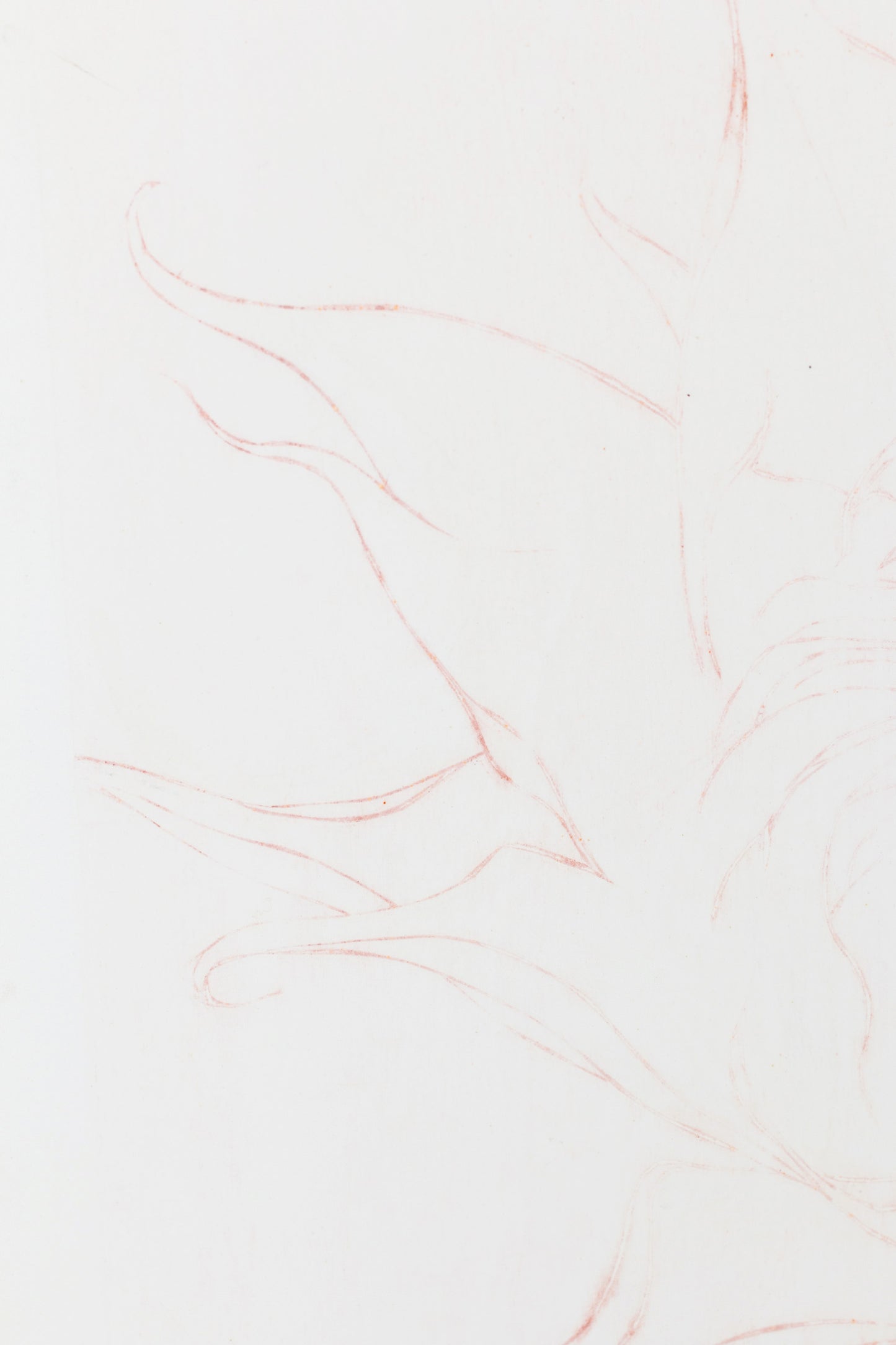 Feine Radierung einer Sonnenblume in Rot auf weißem Grund mit zarten Linien und reduzierter Form – Delicate etching of a sunflower in red on white background with fine lines and minimal composition.