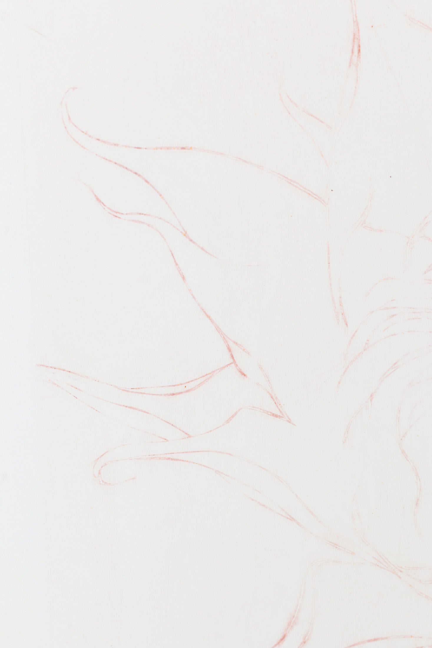 Feine Radierung einer Sonnenblume in Rot auf weißem Grund mit zarten Linien und reduzierter Form – Delicate etching of a sunflower in red on white background with fine lines and minimal composition.