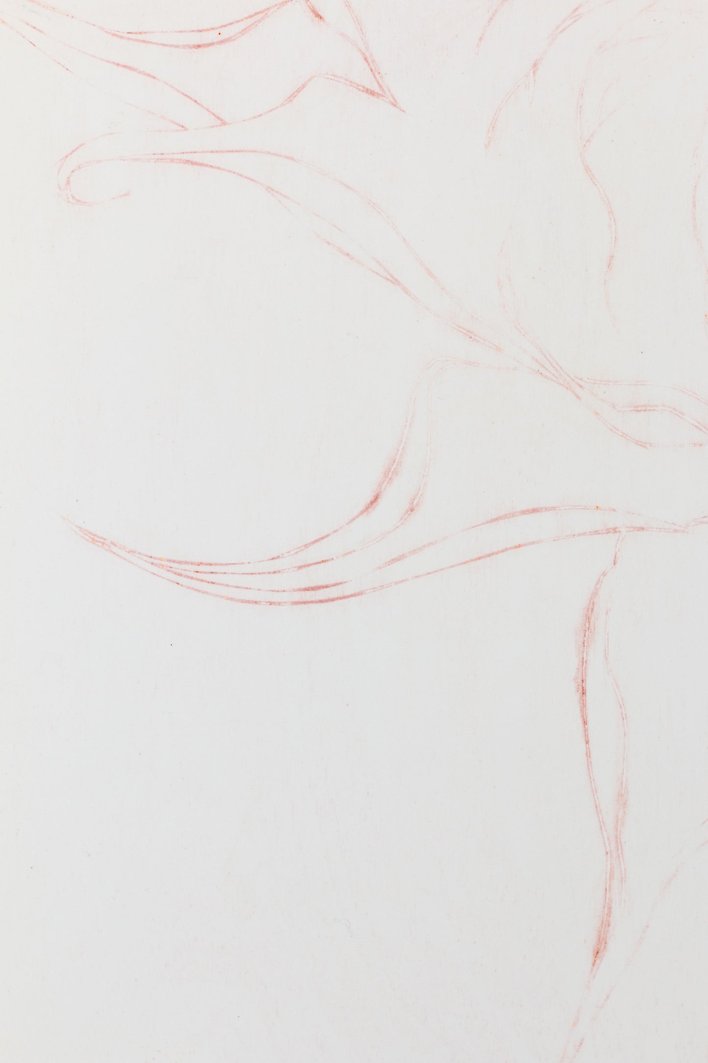 Feine Radierung einer Sonnenblume in Rot auf weißem Grund mit zarten Linien und reduzierter Form – Delicate etching of a sunflower in red on white background with fine lines and minimal composition.