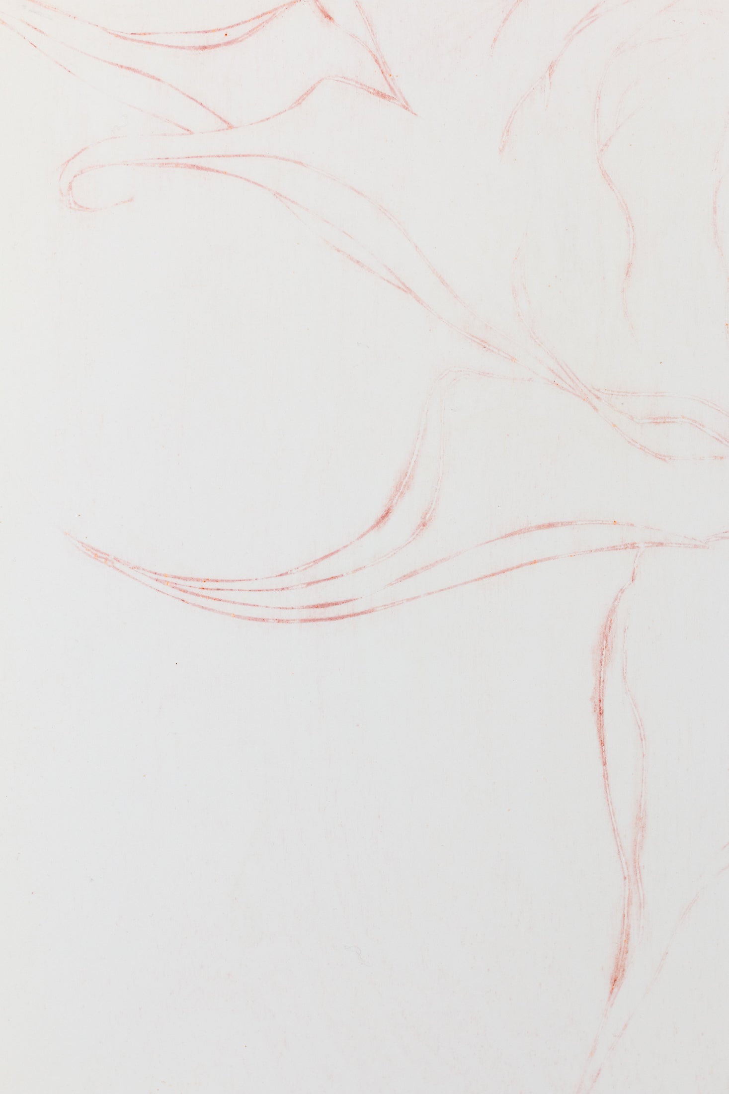 Feine Radierung einer Sonnenblume in Rot auf weißem Grund mit zarten Linien und reduzierter Form – Delicate etching of a sunflower in red on white background with fine lines and minimal composition.