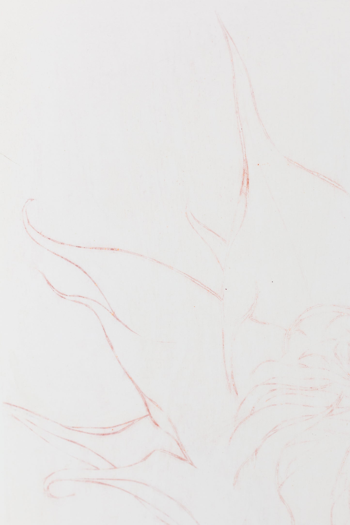 Feine Radierung einer Sonnenblume in Rot auf weißem Grund mit zarten Linien und reduzierter Form – Delicate etching of a sunflower in red on white background with fine lines and minimal composition.