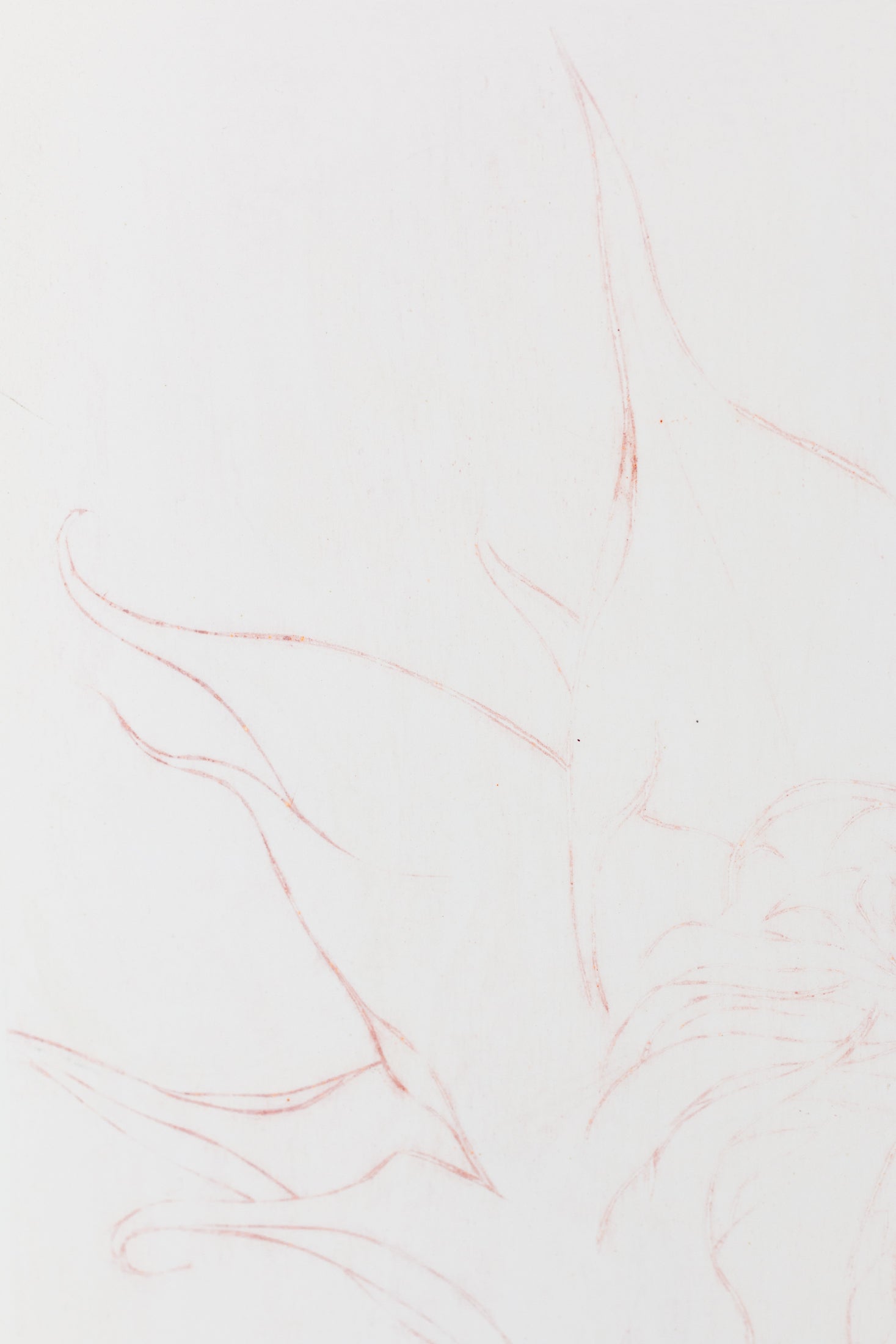 Feine Radierung einer Sonnenblume in Rot auf weißem Grund mit zarten Linien und reduzierter Form – Delicate etching of a sunflower in red on white background with fine lines and minimal composition.