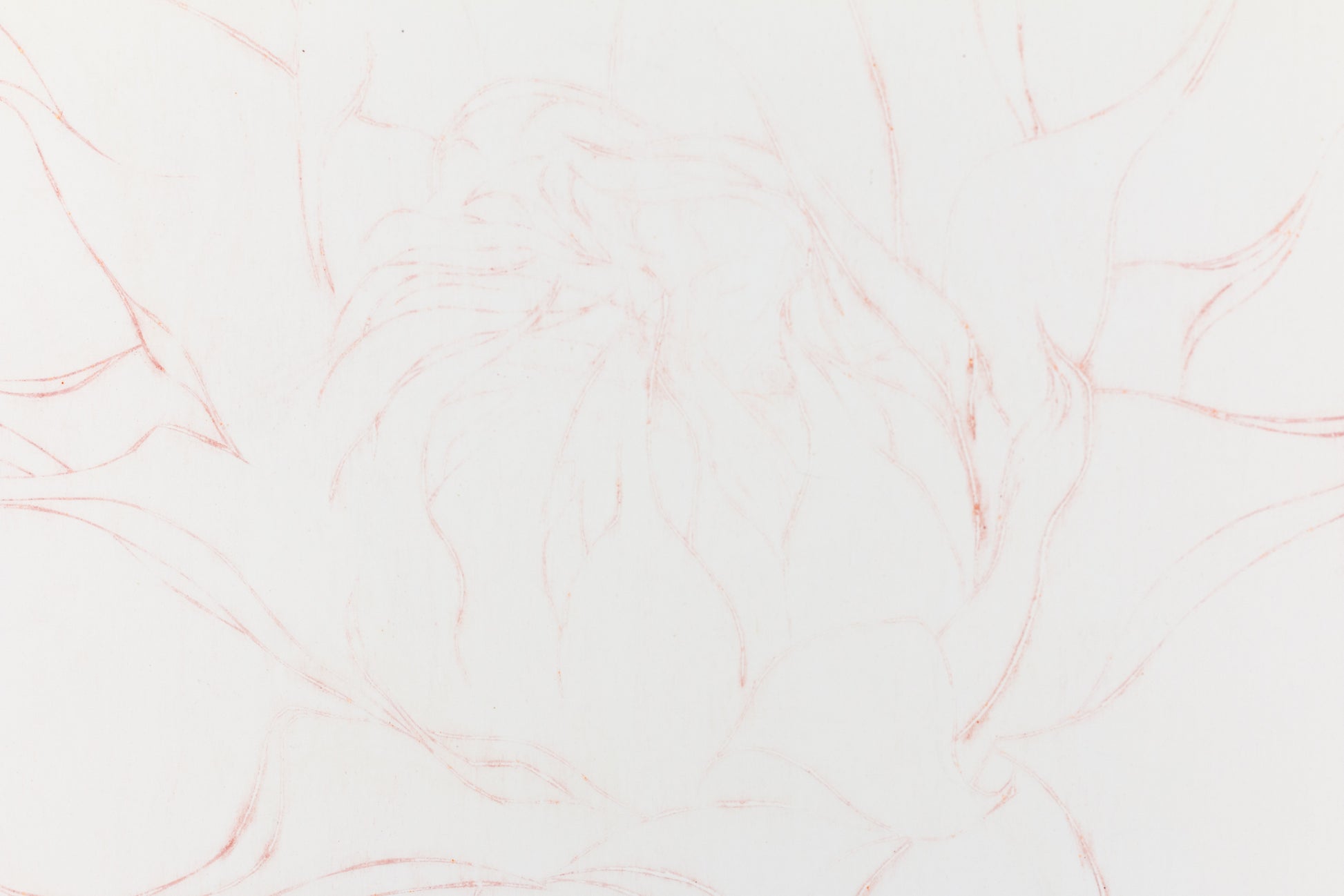 Feine Radierung einer Sonnenblume in Rot auf weißem Grund mit zarten Linien und reduzierter Form – Delicate etching of a sunflower in red on white background with fine lines and minimal composition.