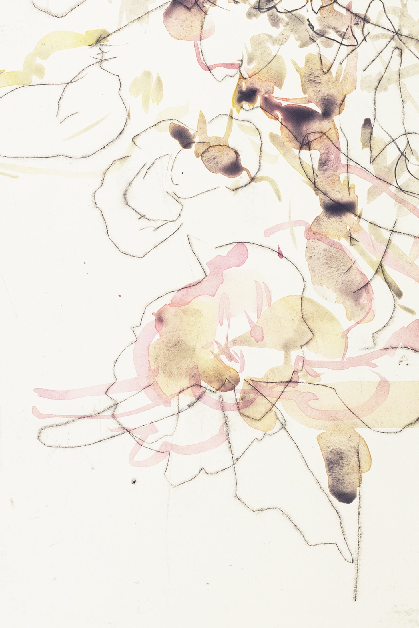 Zarte abstrakte Blumenzeichnung eines Knabenkrauts in Hellrosa, Ocker und Grau auf hellem Hintergrund, kombiniert mit feinen Linien und transparenten Aquarellschichten – Delicate abstract floral drawing of a marsh orchid in light pink, ochre and grey on a bright background, combining fine lines with translucent watercolor layers.